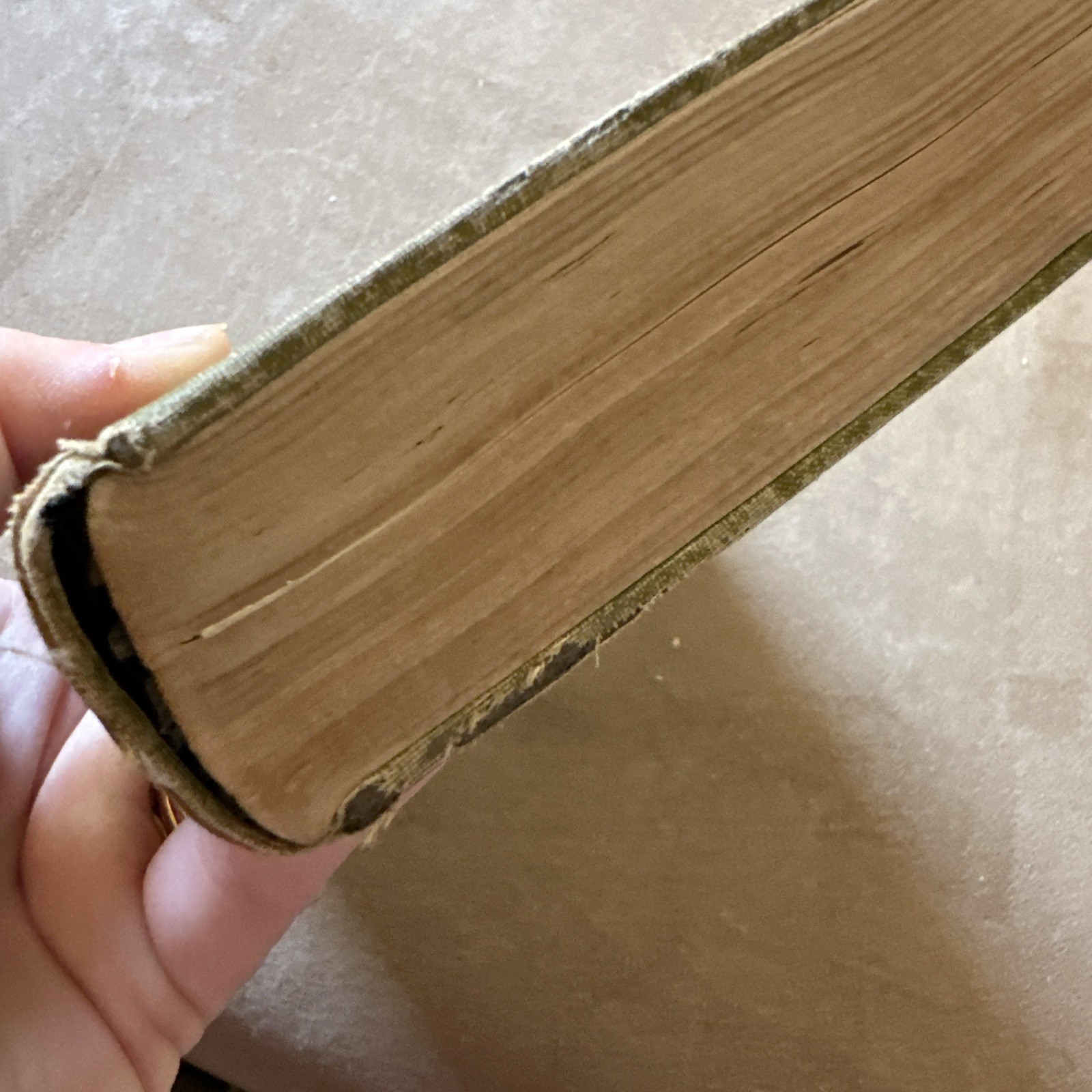 The Jungle Upton Sinclair Book 1906 1st ed 1st Printing February Antique
