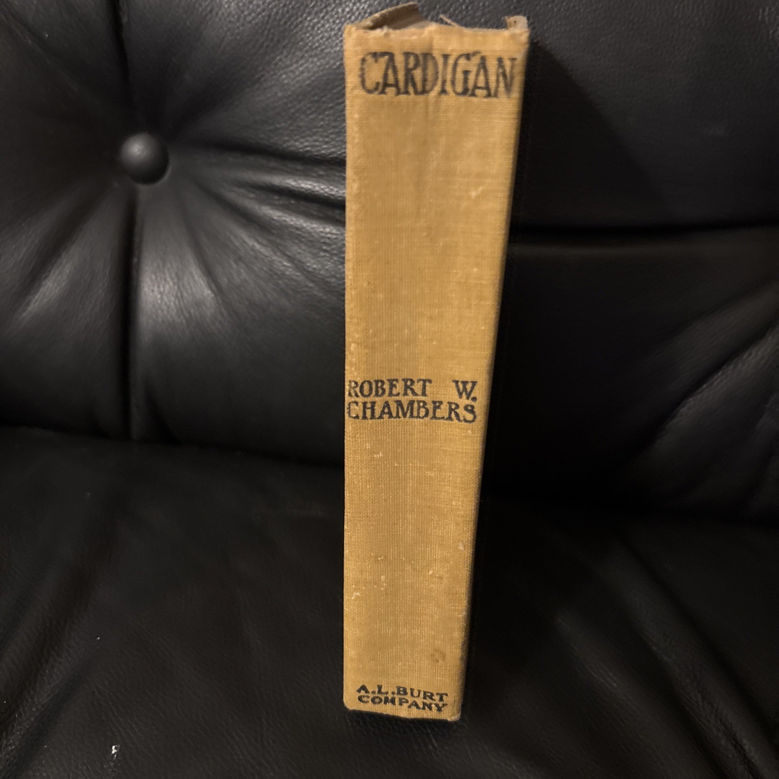 Cardigan by Robert W. Chambers
