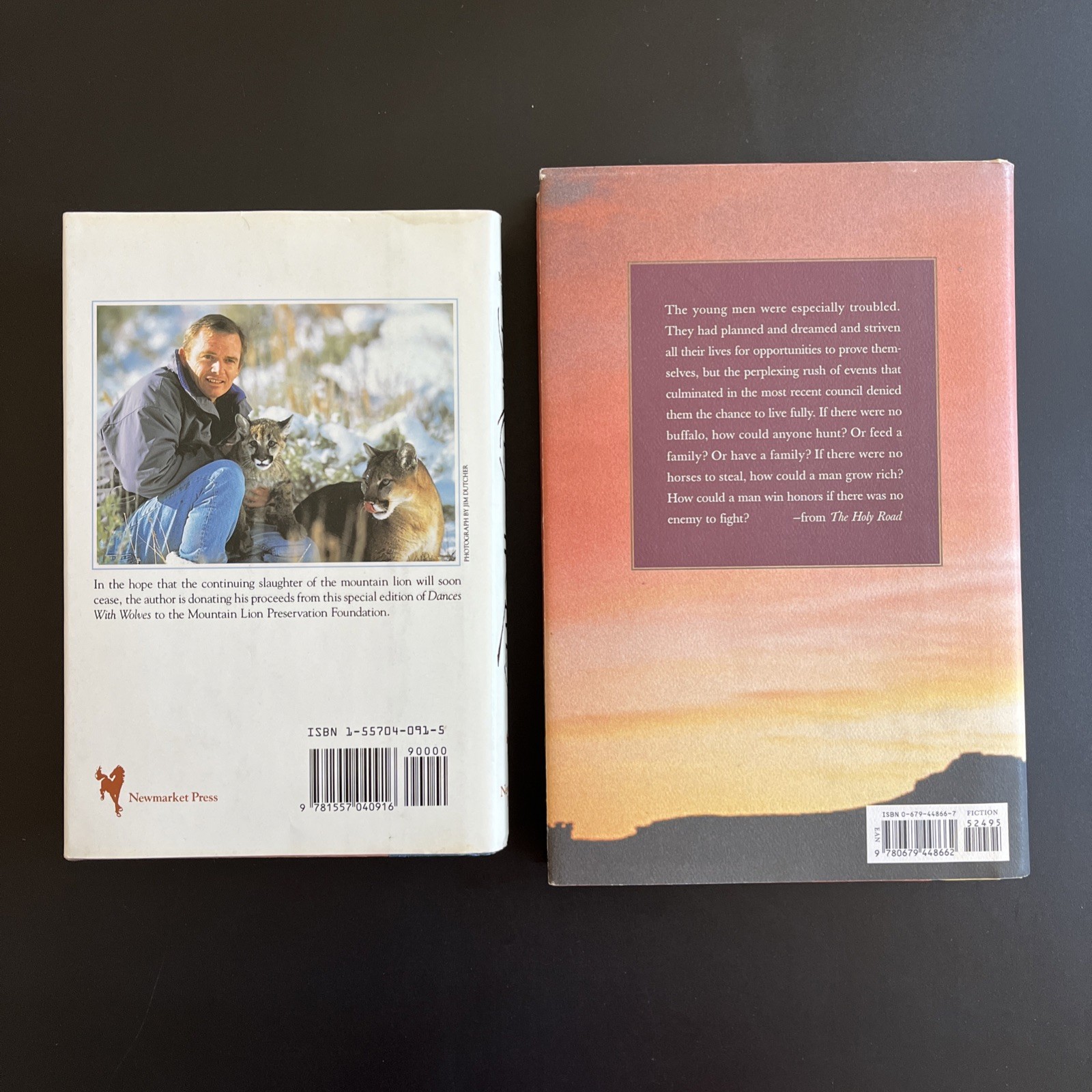 Dances with wolves by Michael Blake 1st/1st 1991 HC/DJ