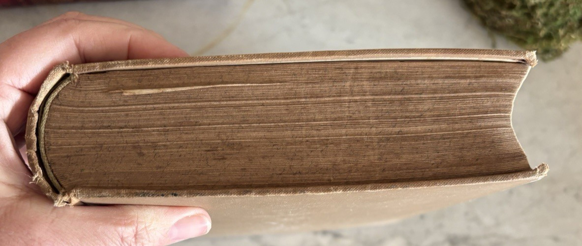 Antique Bilz Supplement-Band Interactive Anatomical Flap Book c1905–1912 Leipzig