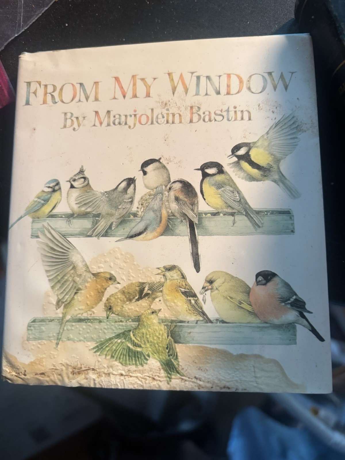 Vintage 1994 “From My Window” Marjolein Bastin SMALL HALLMARK Gift Book HC, DJ