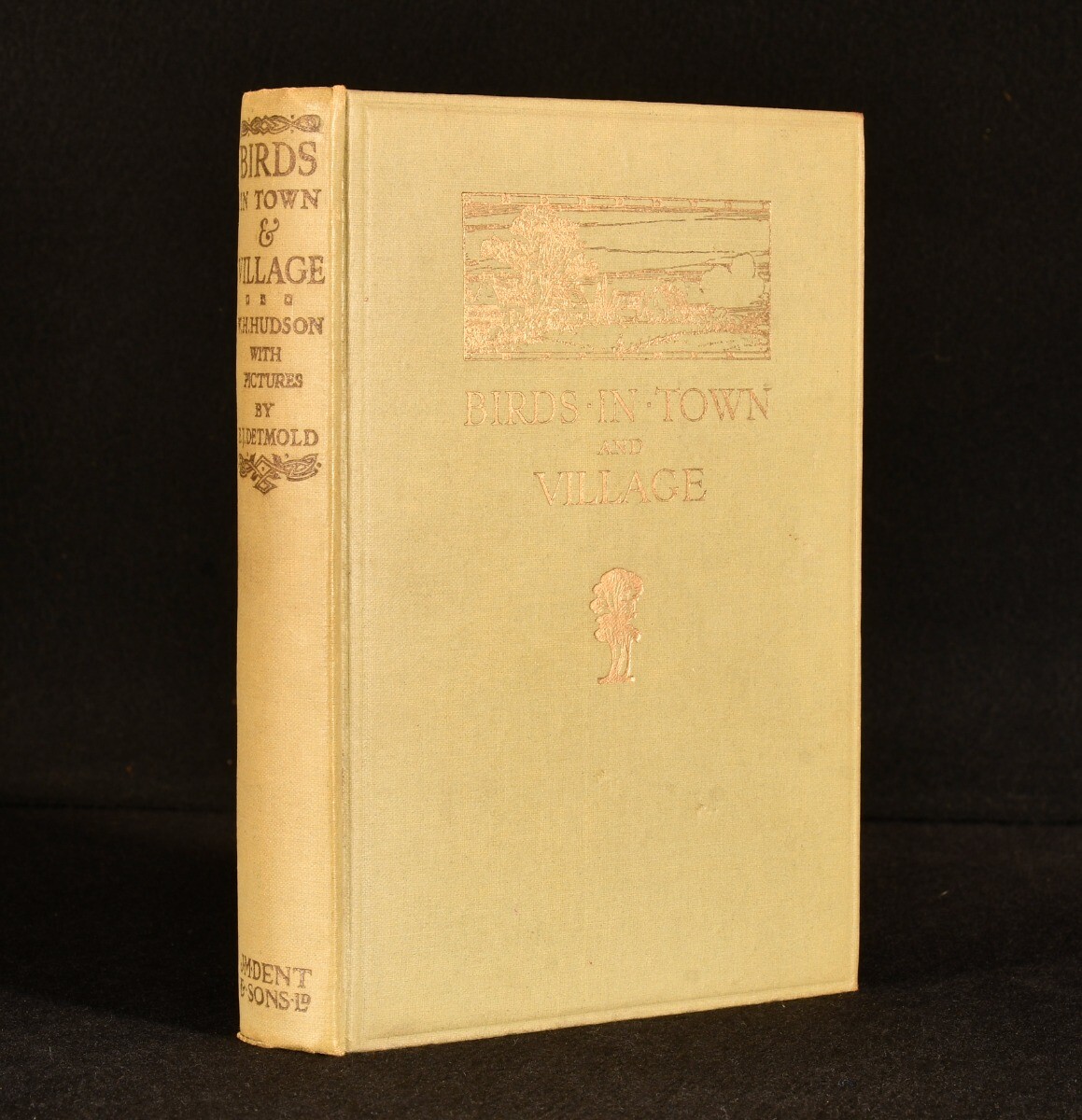 1919 Birds in Town & Village by W. H. Hudson Illustrated by E. J. Detmold Fir…