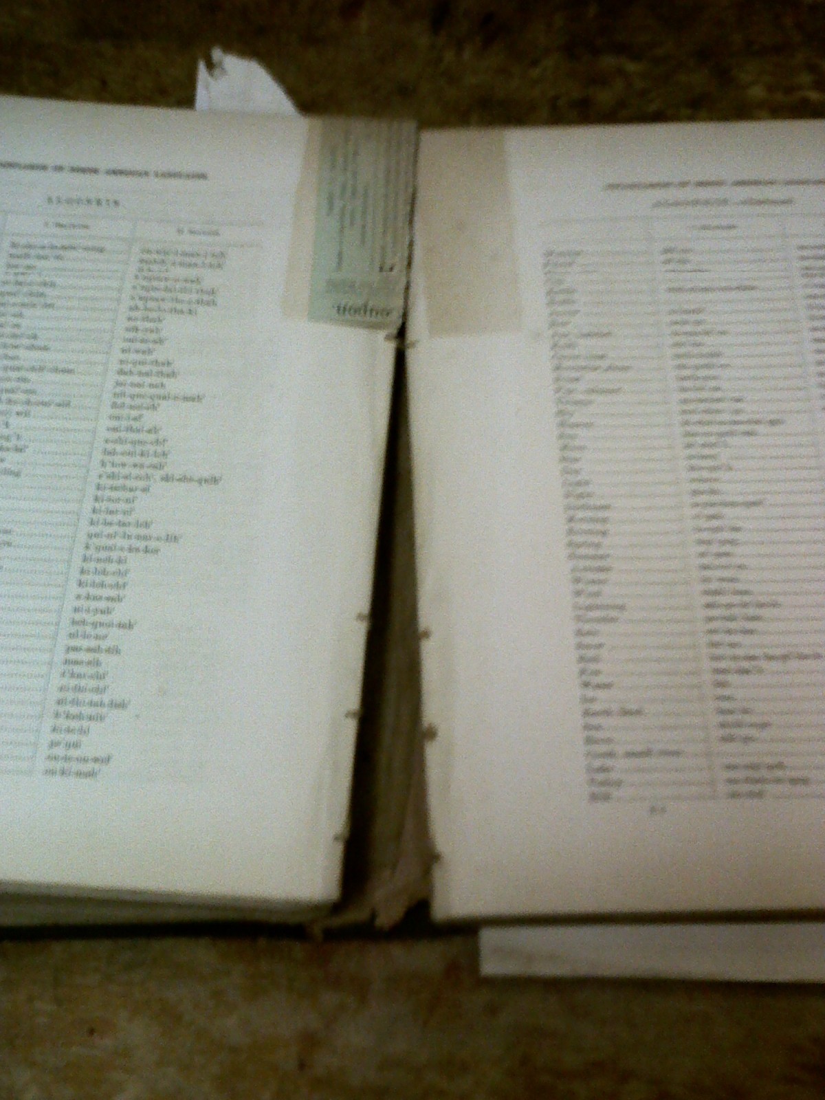 EXPLORATIONS AND SURVEYS 1853-54, VOLUME 3 ONLY, 1856, 22 COLOR VIEWS