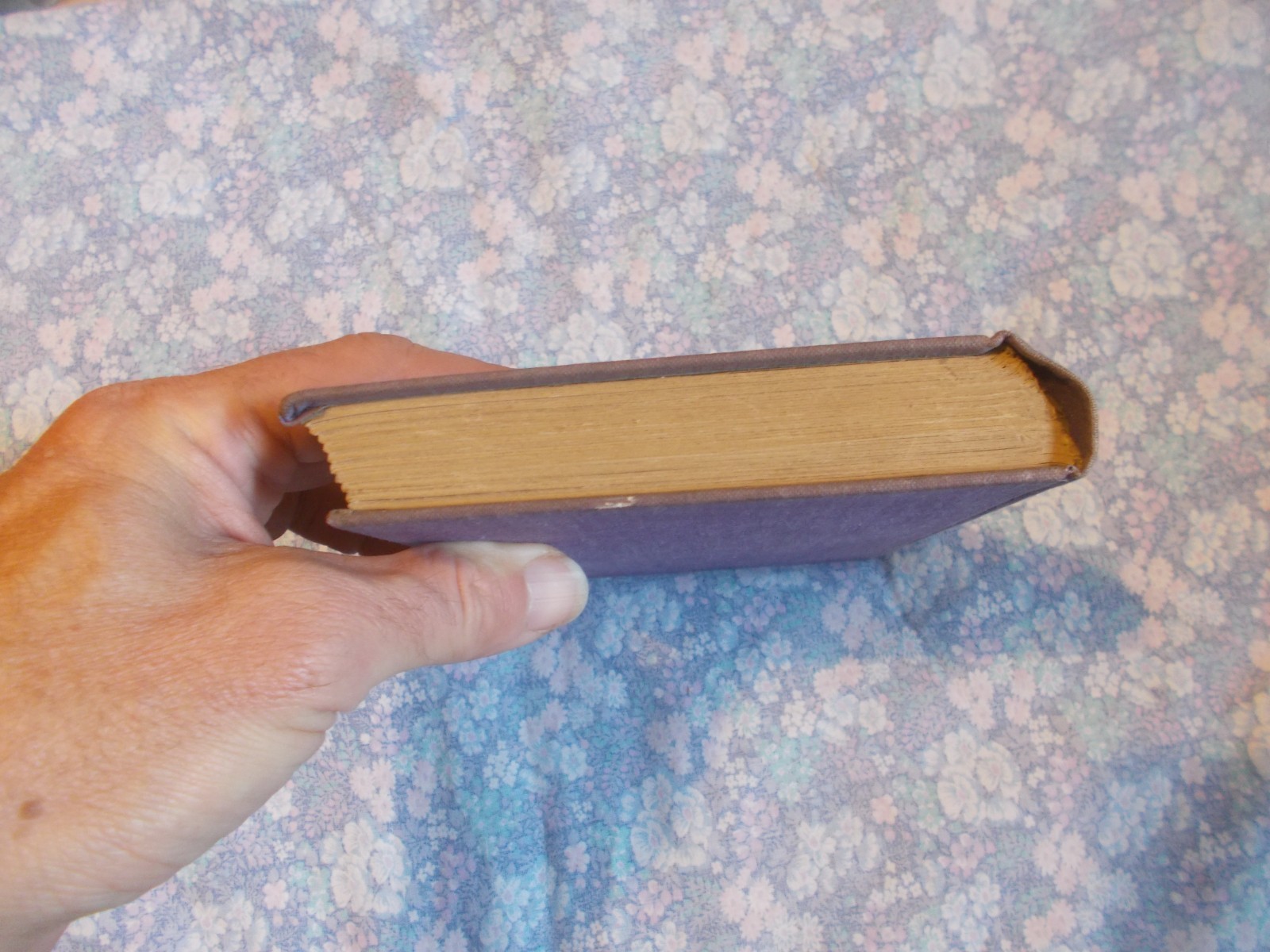 Lady Carter A LIVING SOUL IN HOLLOWAY 1938 1st ed women’s prisons welfare RARE