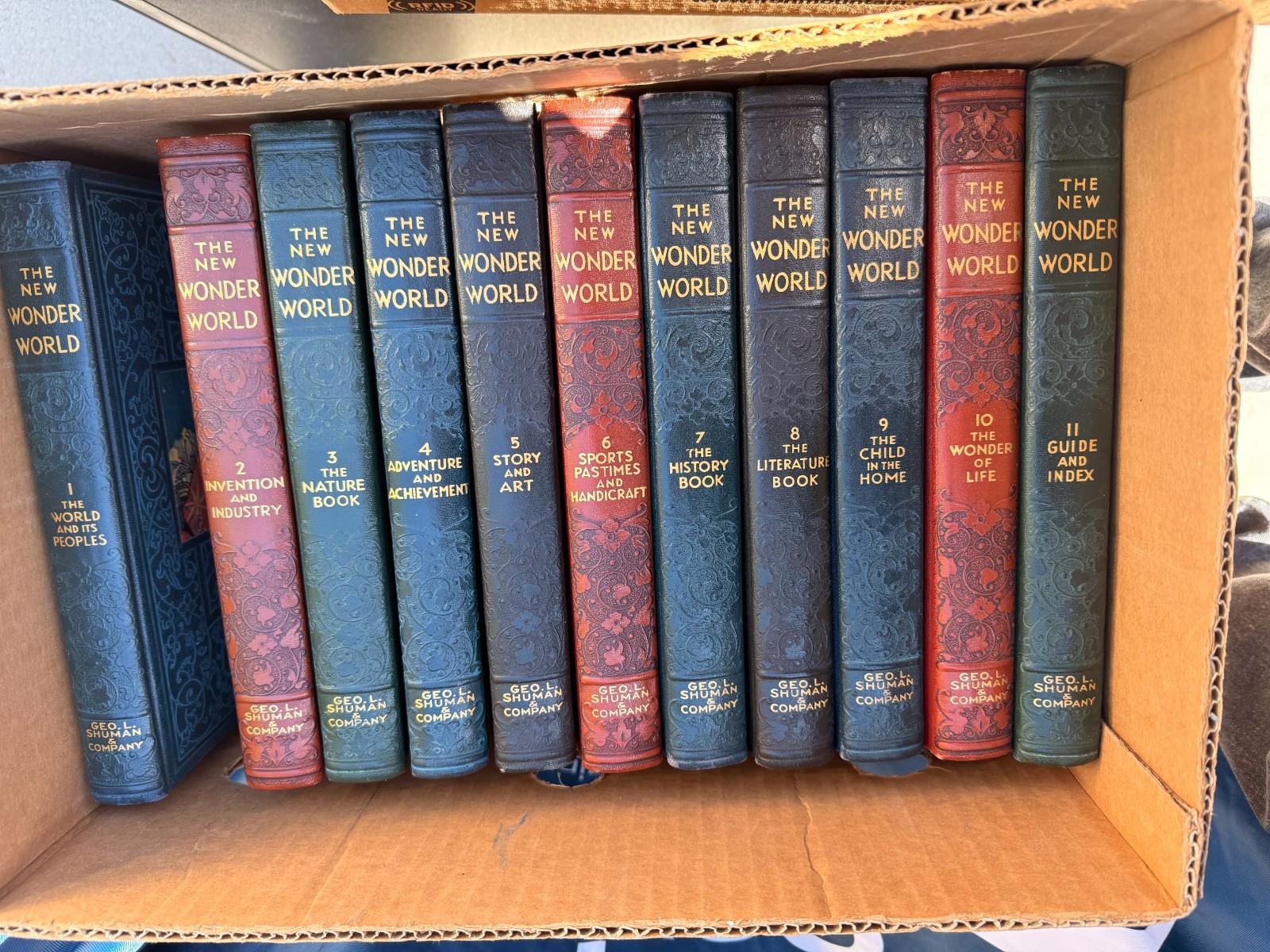 The New Wonder World A Library of Knowledge Vintage 11 Volume Encyclopedia Set