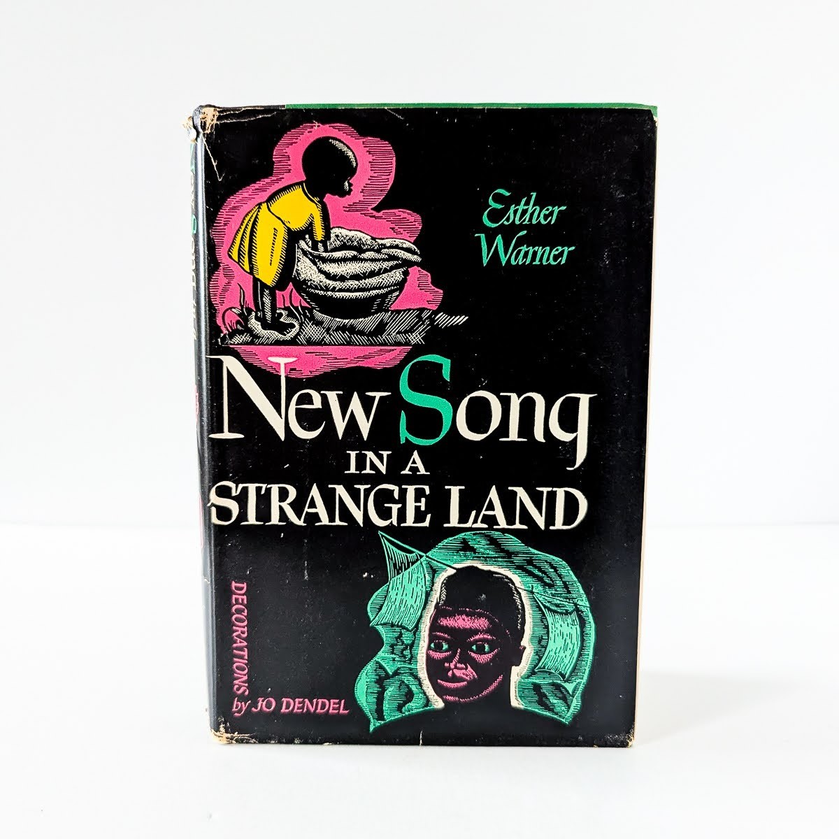 NEW SONG IN A STRANGE LAND by Esther Warner 1948 Hardcover w/DJ – VERY GOOD