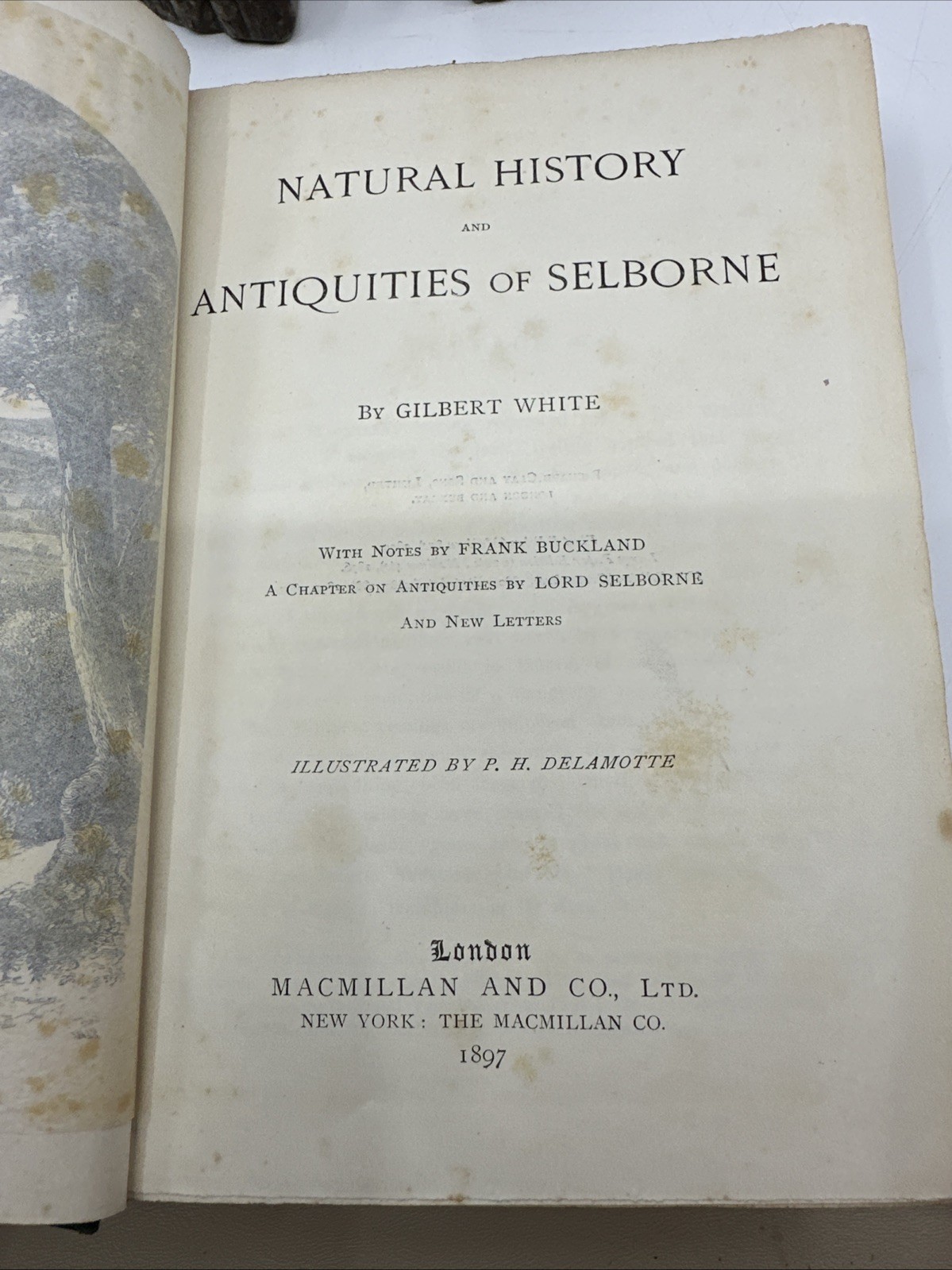 White’s Selborne Gilbert White 1897 Macmillan Natural History (N196)