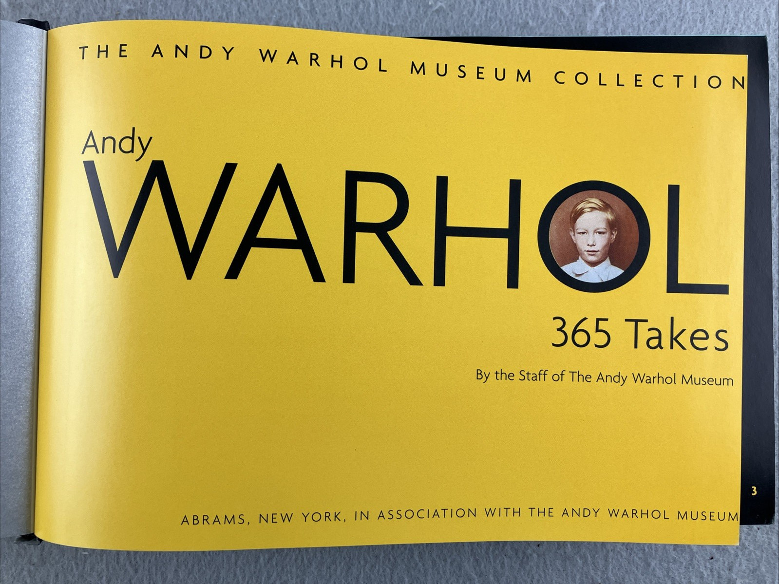 ANDY WARHOL: 365 TAKES: THE ANDY WARHOL MUSEUM COLLECTION ART Photography