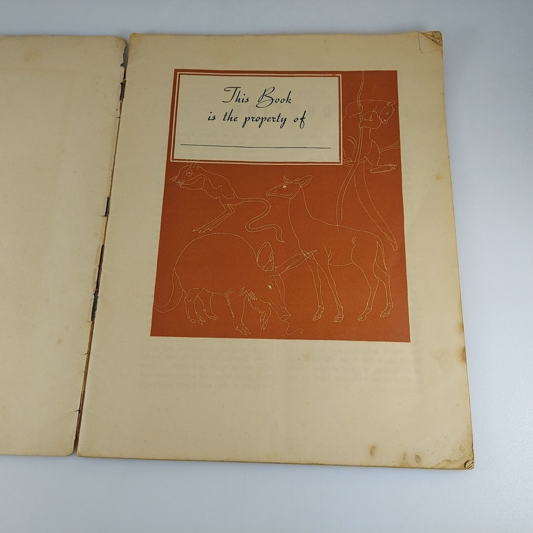 Strange Animals Of The World Bloxham & Chambers Sydney Australia Illustrated