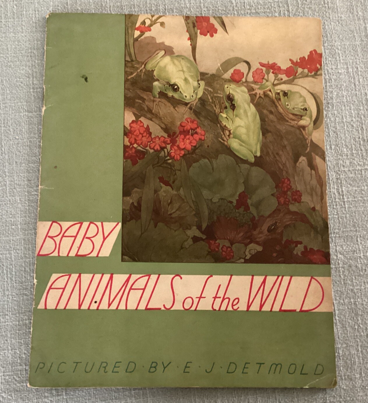 Baby Animals Of The Wild by E. J. Detmold