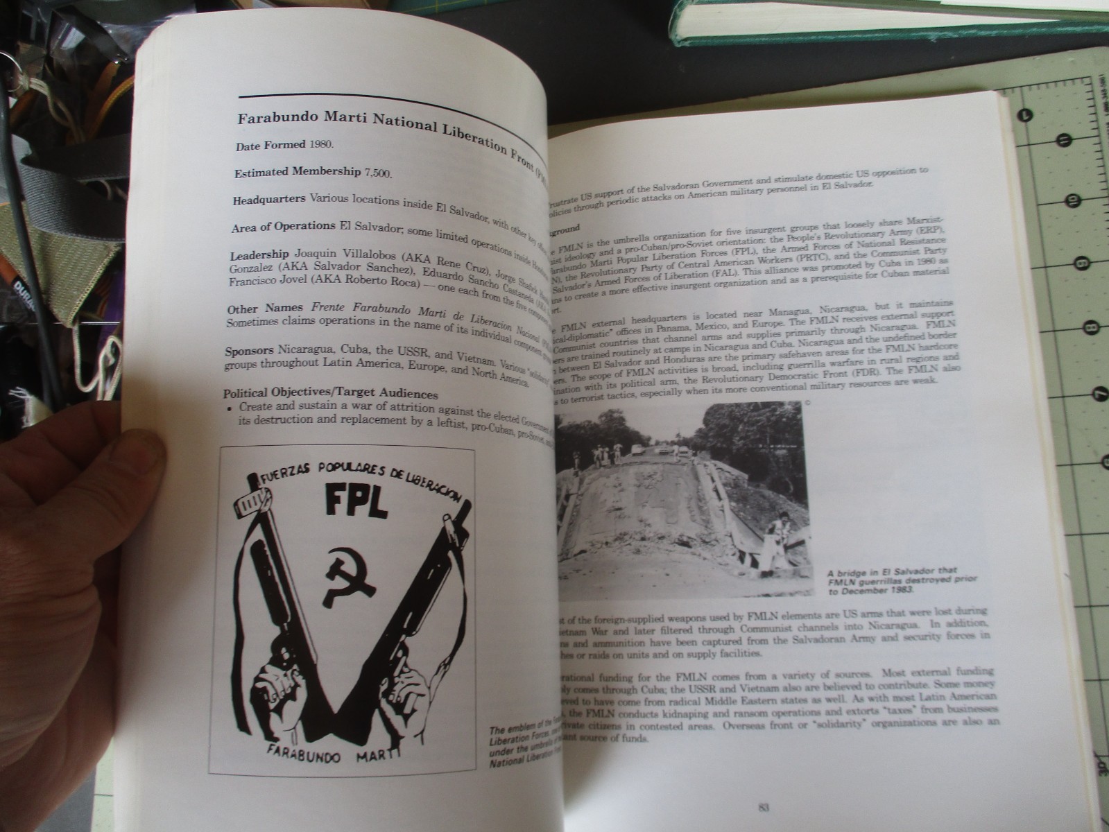BOOK: 1988 TERRORIST GROUP PROFILES, US Government Printing Office