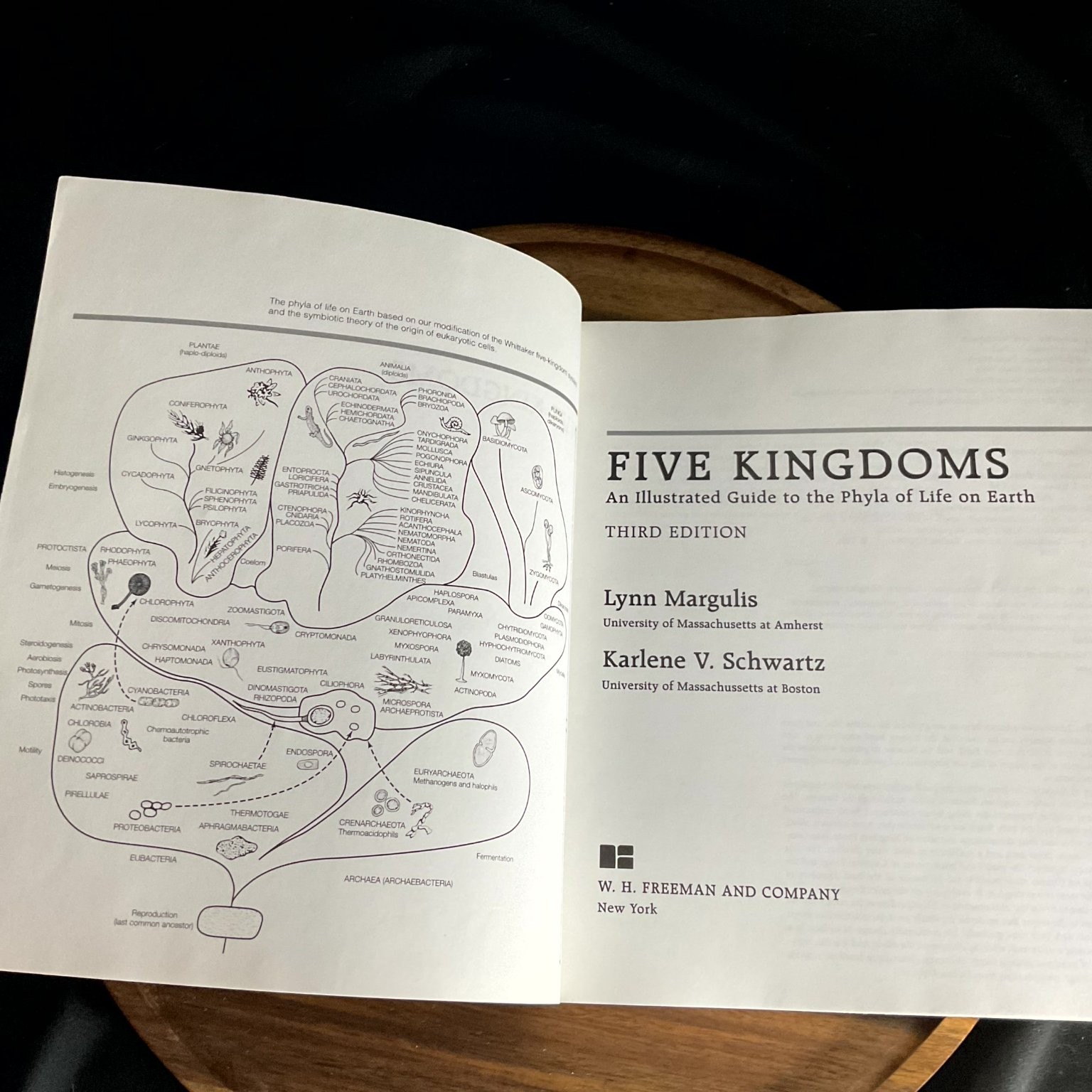 FIVE KINGDOMS Margulis Schwartz Third Edition 1998 Illustrated Biology Gould