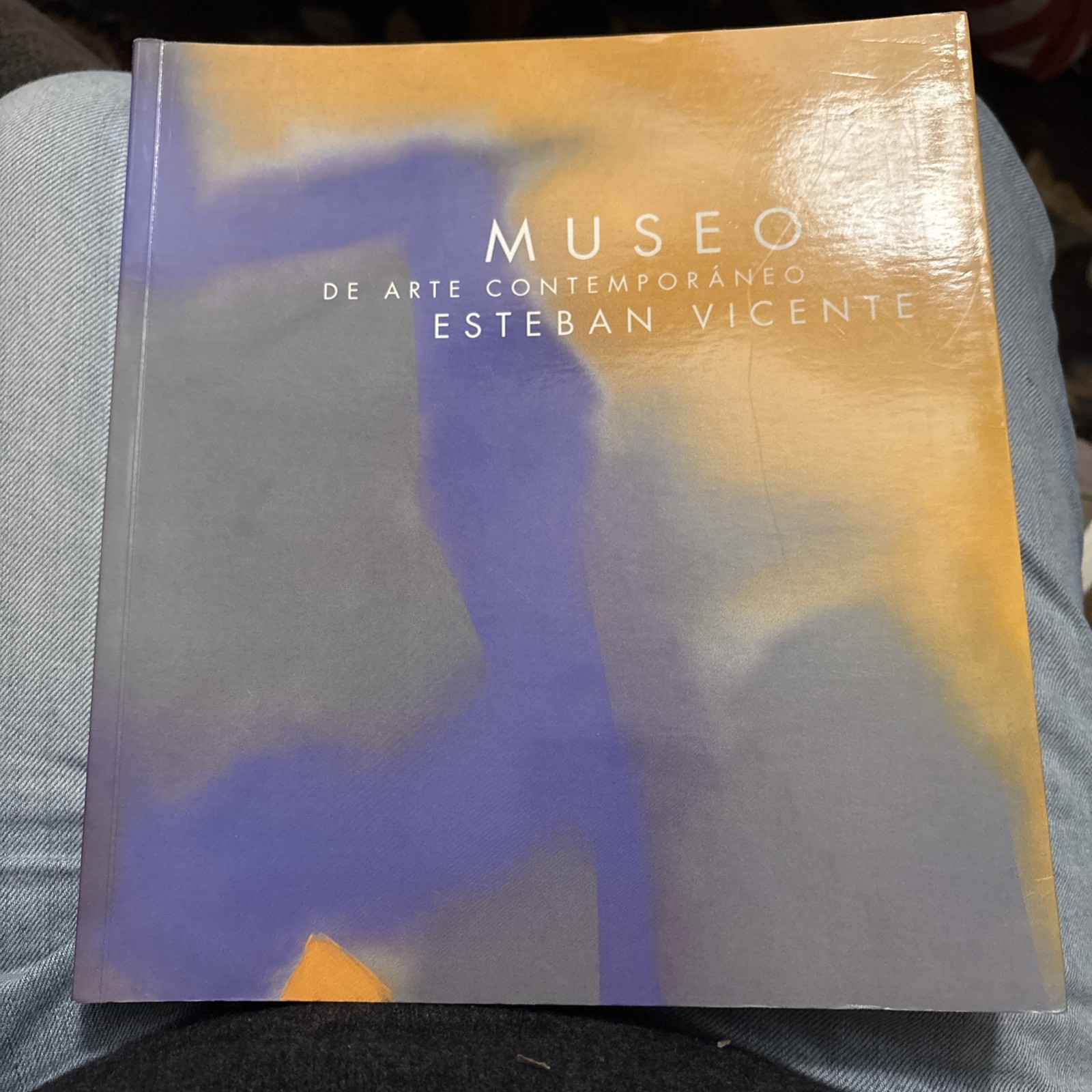 2003 Museo De Arte Contemporáneo Esteban Vicente Museum of Contemporary Art