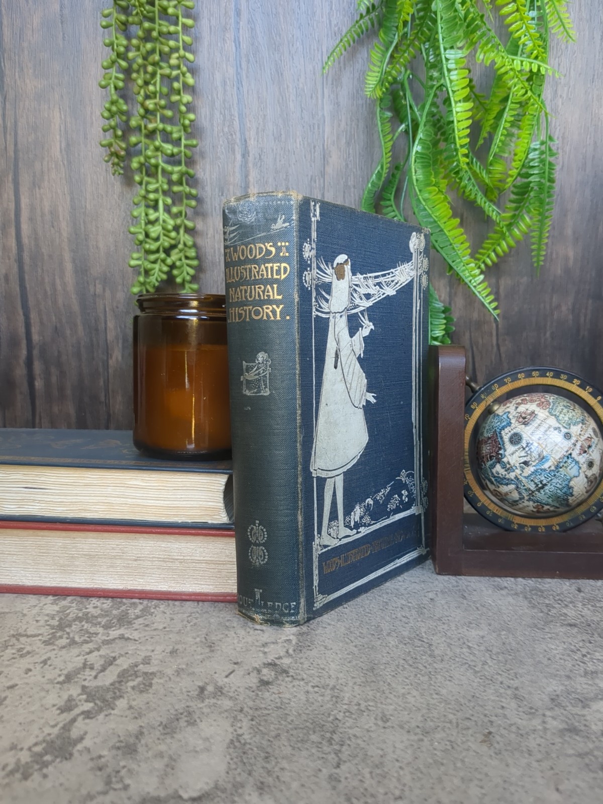 Wood’s Natural History 1905 Illustrated William Harvey BINDING ART NOUVEAU