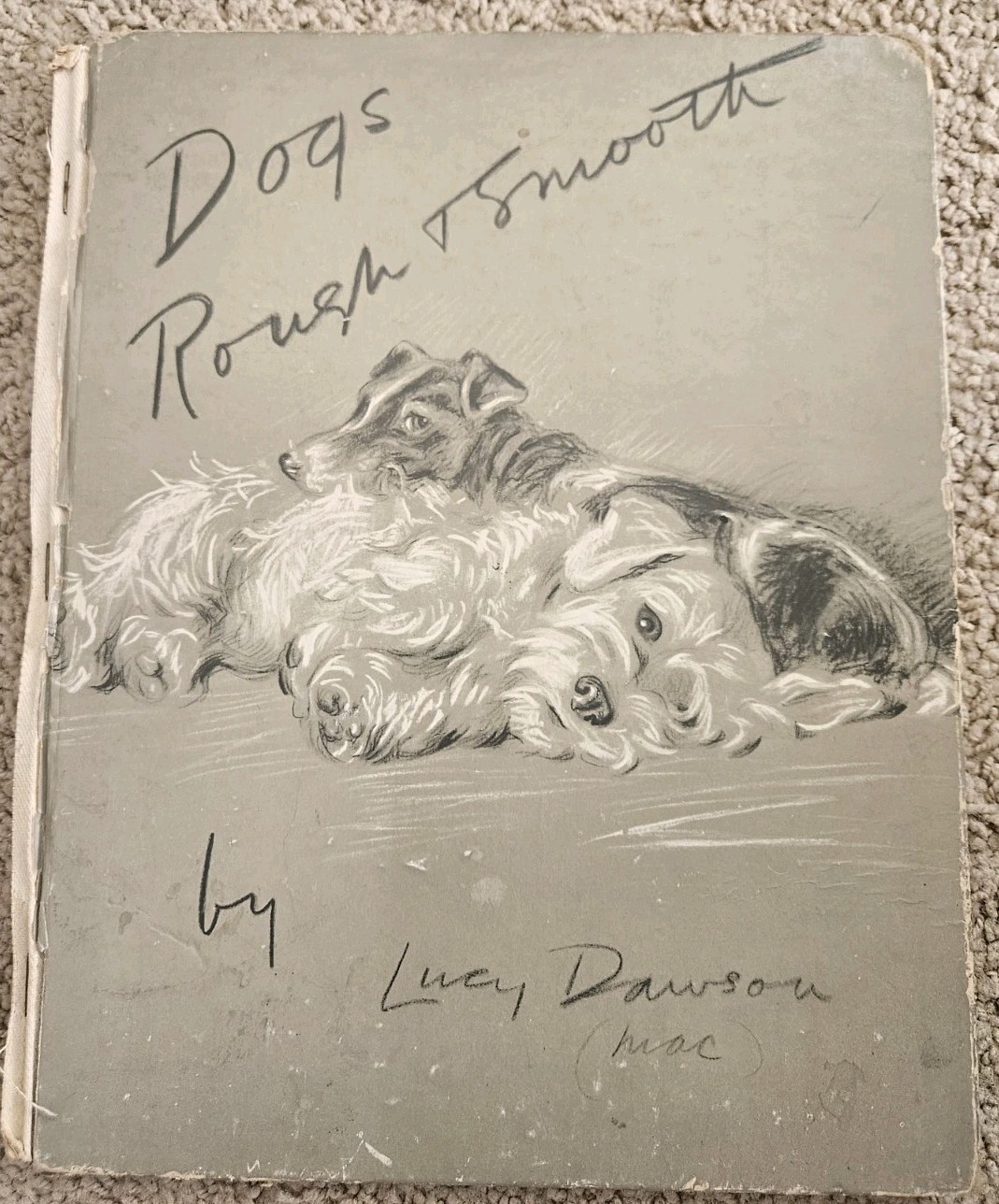 Antique Orig 1st ED DOGS ROUGH AND SMOOTH Lucy Dawson Terrier Dog Illustration