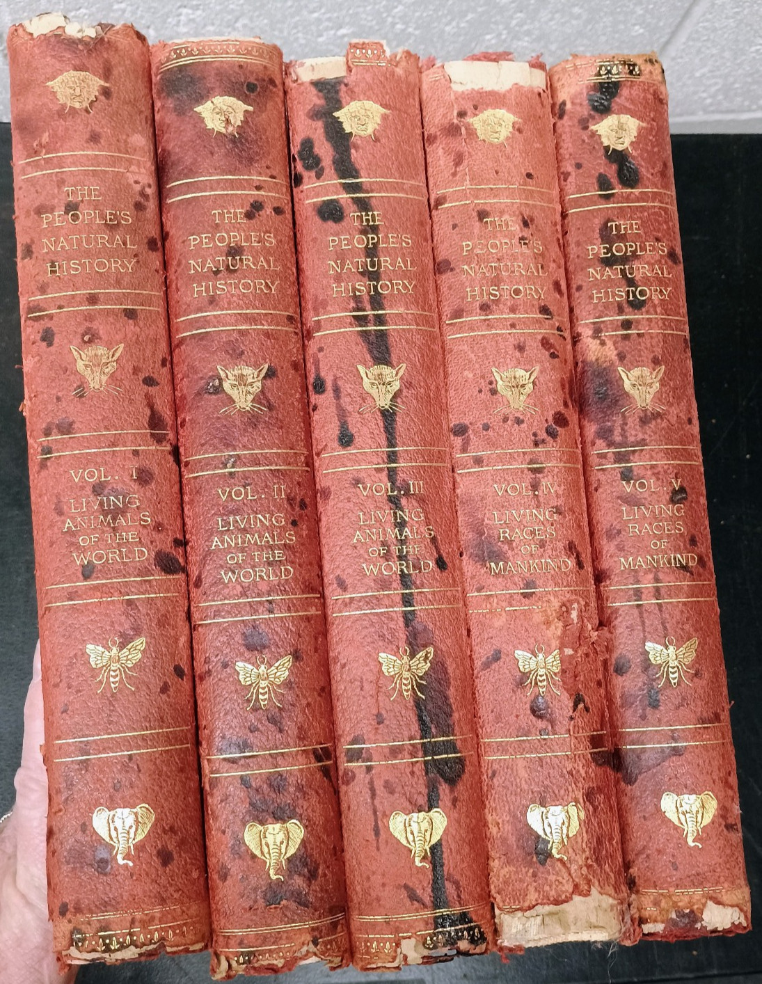 The People’s Natural History 5 vol set by Charles J Cornish – 1902 Leather Bound