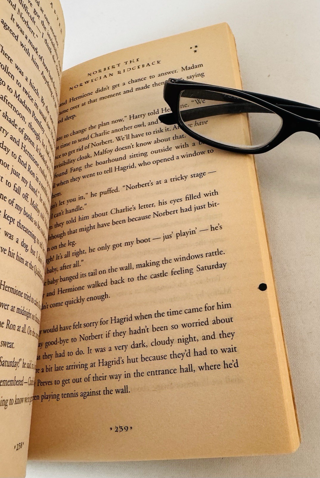 Harry Potter And The Sorcerer’s Stone-Rowling-First PB Edition/2nd Printing-RARE