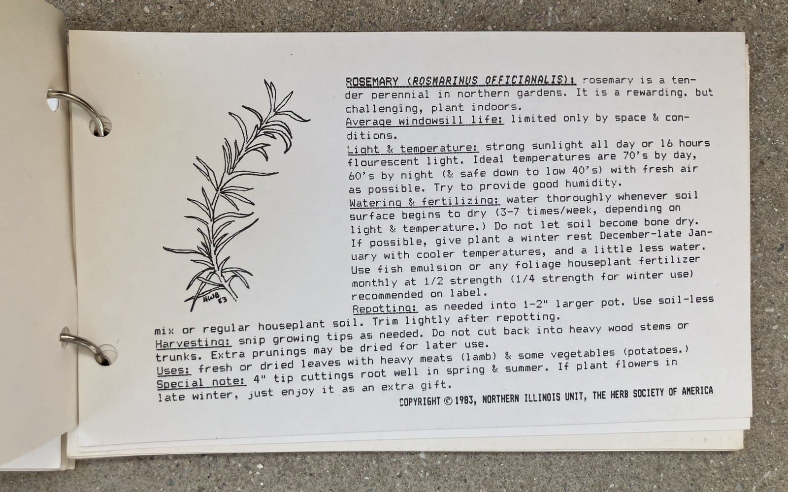 WINDOWSILL HERBS FOR THE COOK 1983 American Herb Society RARE Nothern Illinois