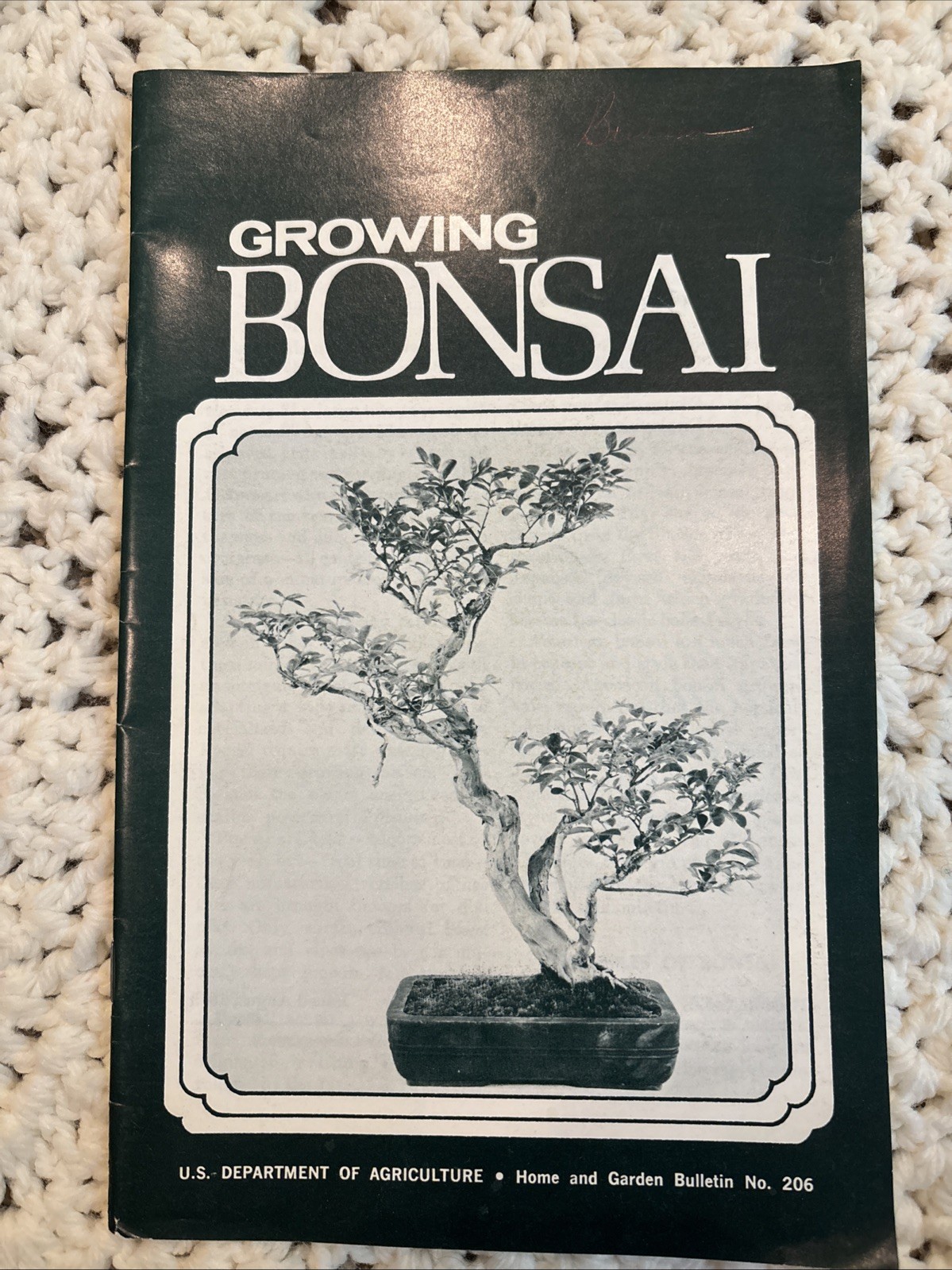 Vintage Growing Bonsai by U.S. Department Of Agriculture Bulletin No. 206 1973