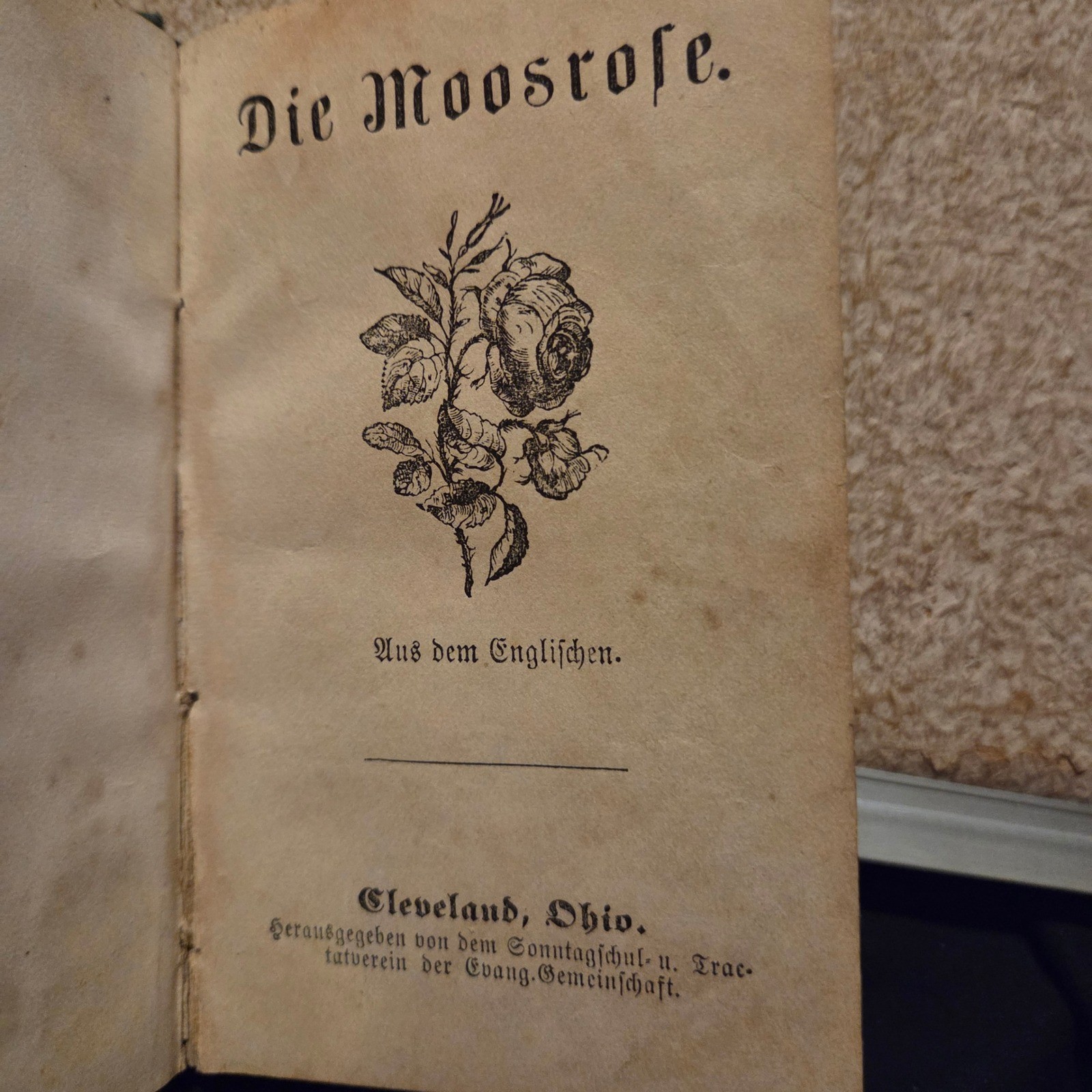 Antique 1863 Die Moosrose German Book Cleveland OH Louisa Ehrman Green Embossed