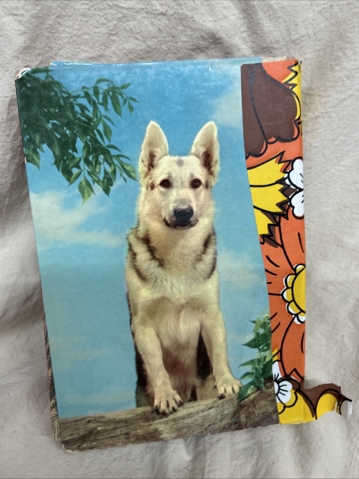 A vintage 1954 Whitman Publishing copy of Rin Tin Tin’s Rinty