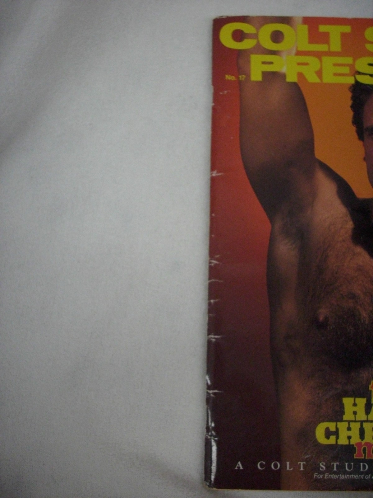 Gay Male Nudes Colt Studio 1993 The Hairy Chested Man Magazine #17