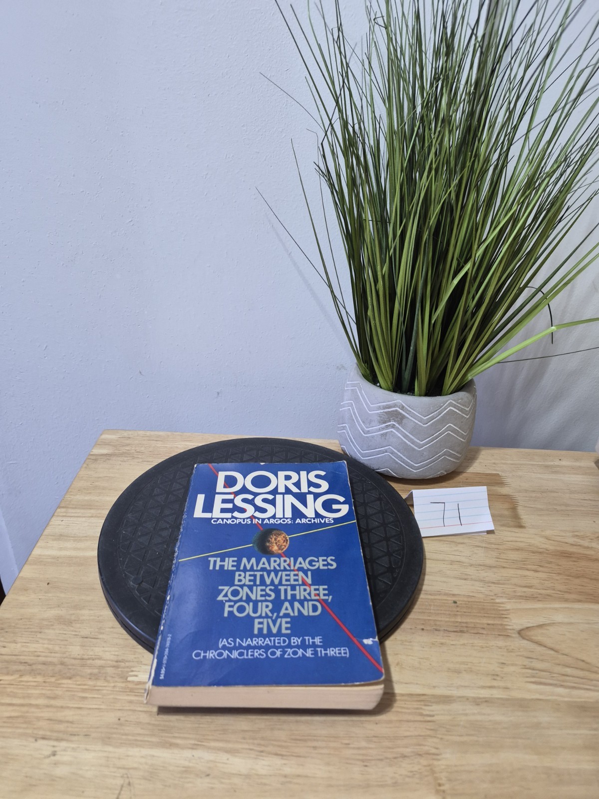 1981 The Marriages between Zones Three, Four, and Five by Doris Lessing