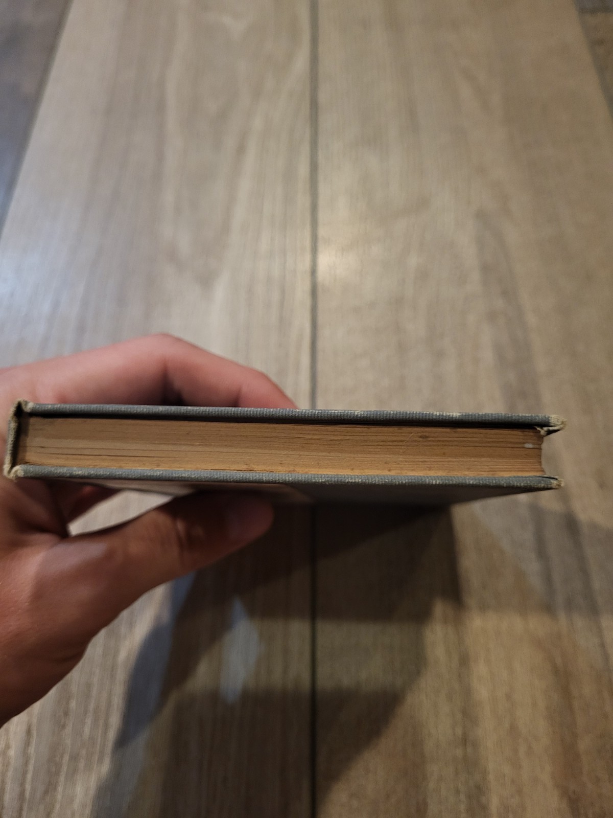 TOASTS Compiled by Margaret Waters 1909 Brewer, Barse And Co Chicago Hardcover