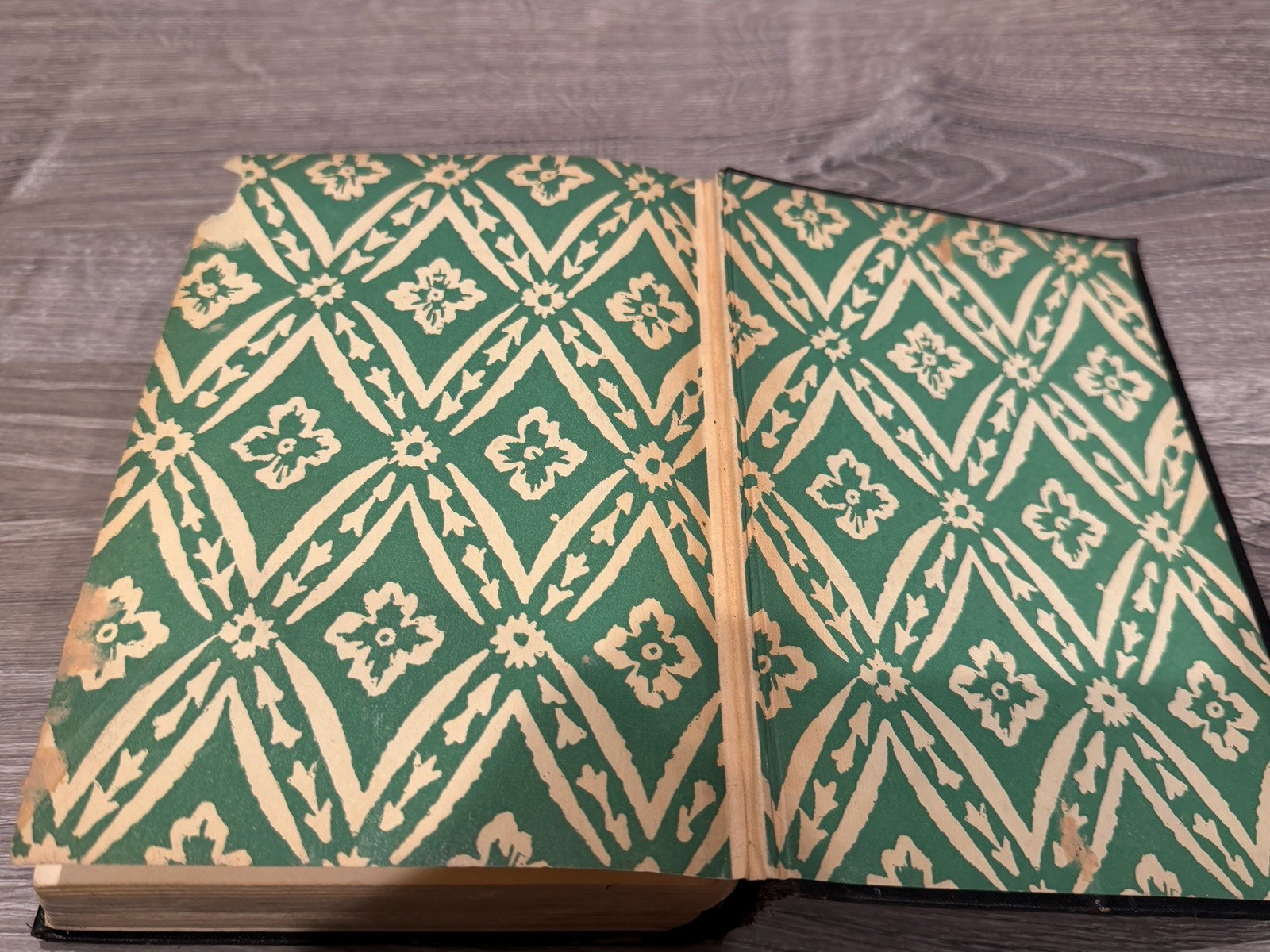 Witch Wood by John Buchan (1927, Hardcover)