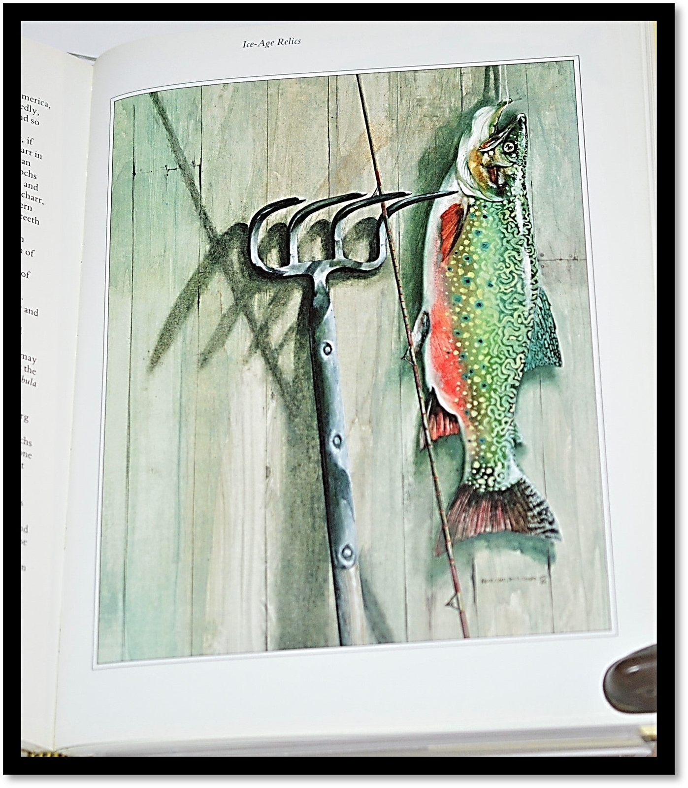 Stephen Downes / The New Compleat Angler 1st Edition 1983 Fishing Gift Quality