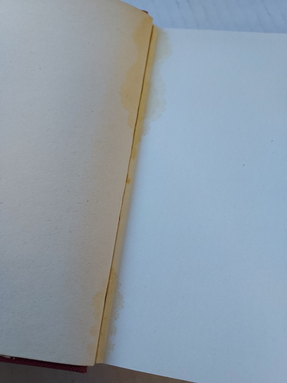 Evangeline And Evangeline Country Longfellow Souvenir Edition 1947 Two Lovers