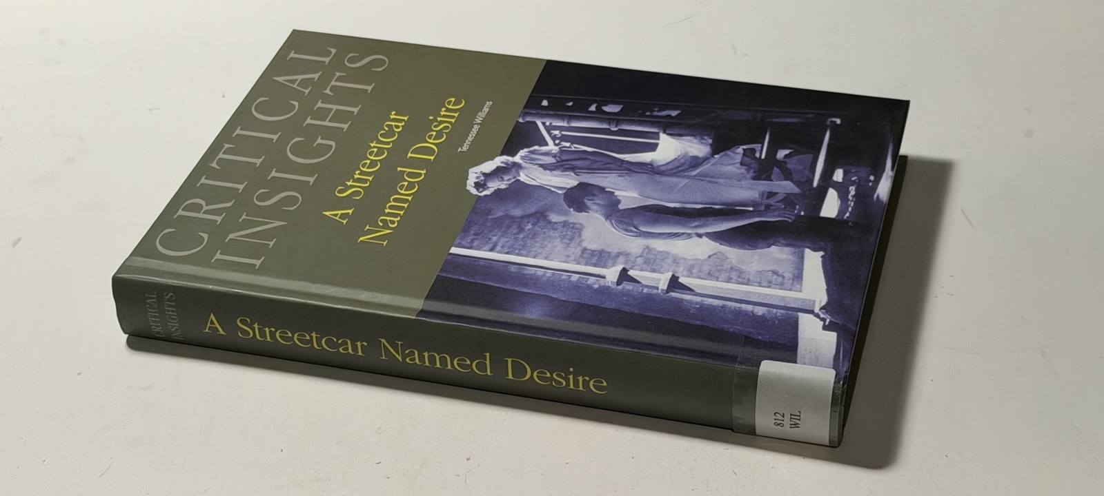 Essays on A Streetcar Named Desire by Tennessee Williams VTG LITERARY CRITICISM
