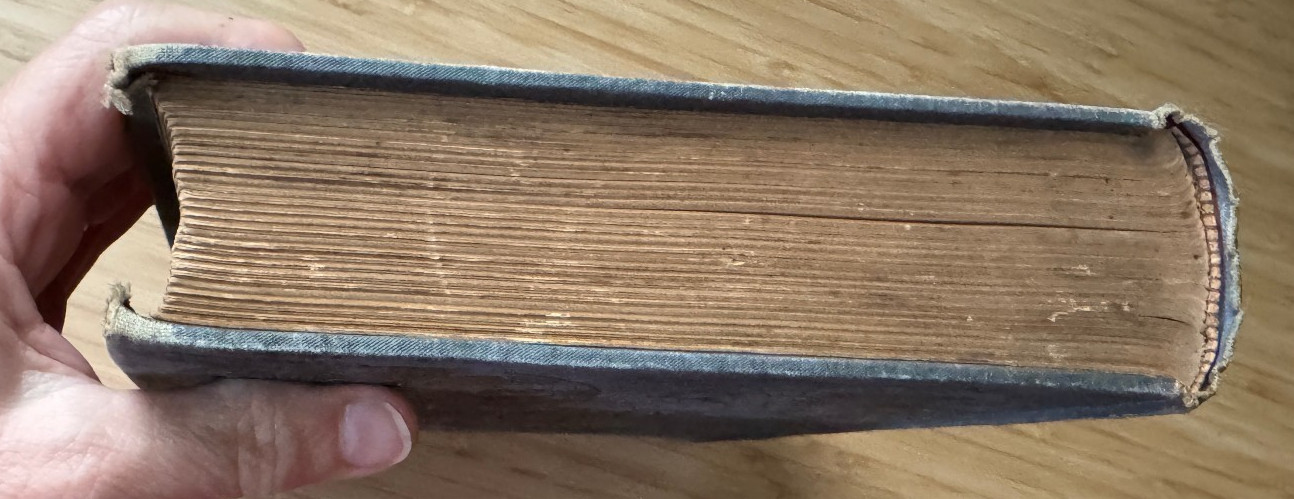 The Wonderful Story of Jesus 1890 200 Youth Children’s Christianity Art Bible