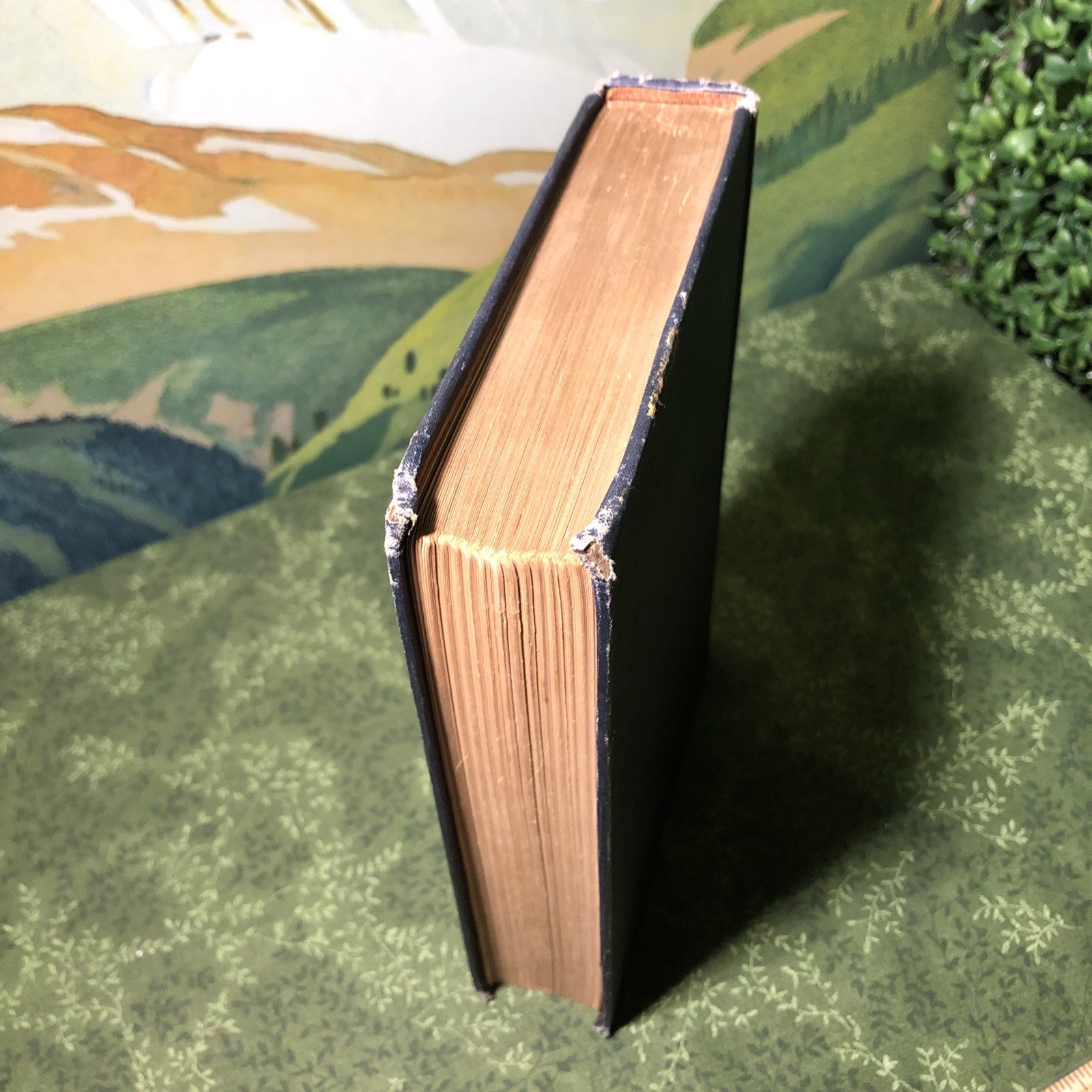 Voyages and Travels: Ancient and Modern – Harvard Classics Veritas Blue 1910 hc