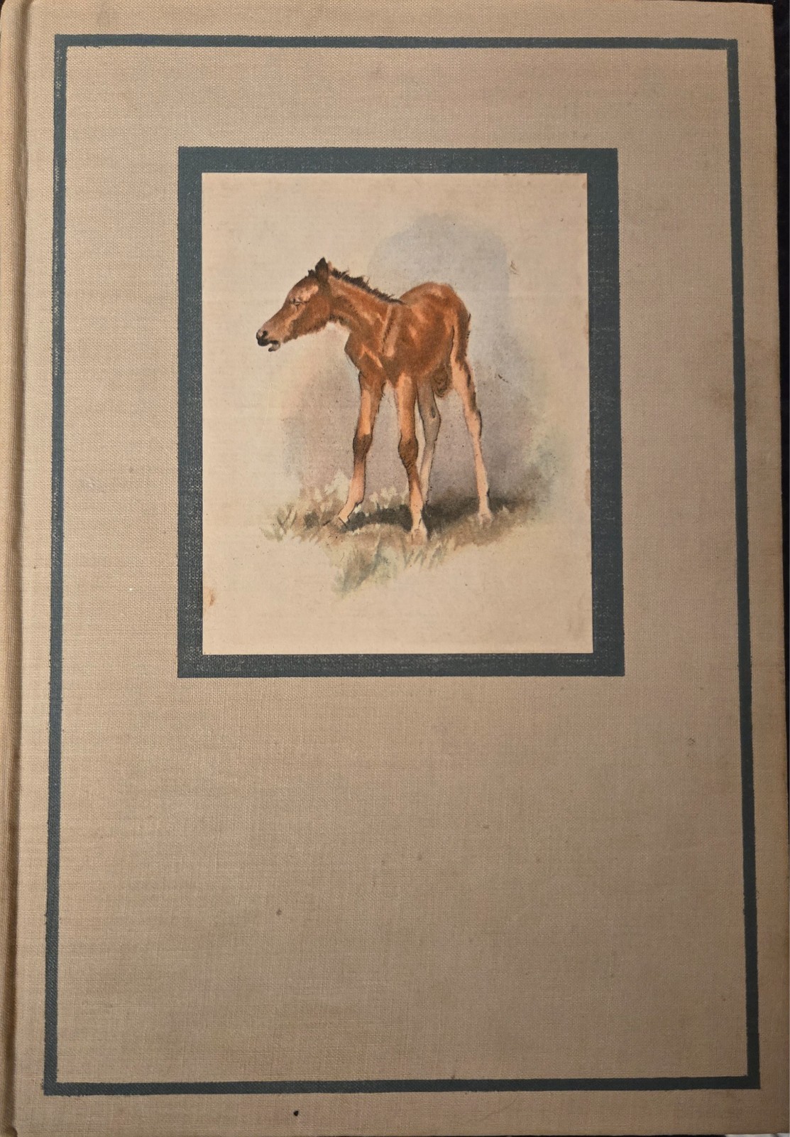 The Red Pony, John Steinbeck, 1945, 1st Ed., HC, Illustrated, Excellent