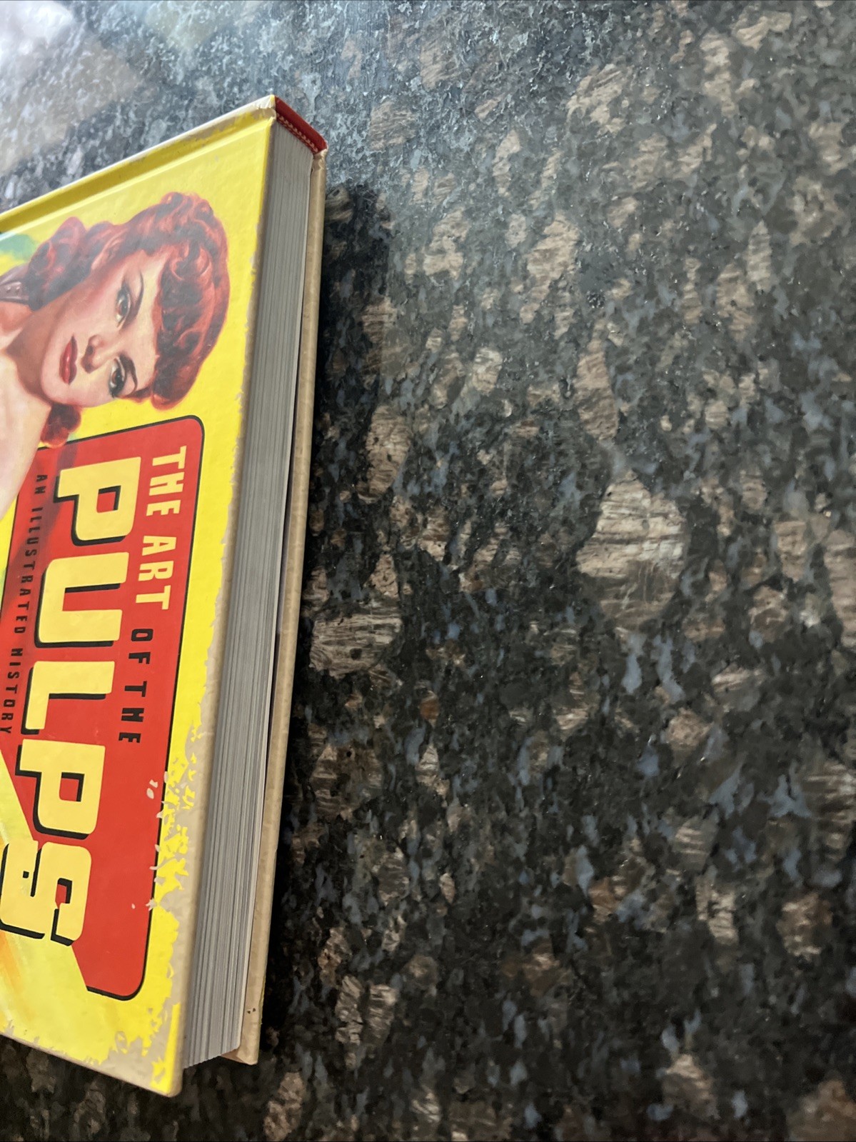 The ART OF THE PULPS- Douglas Ellis & Ed Hulce 2017 IDW 1st HC Print