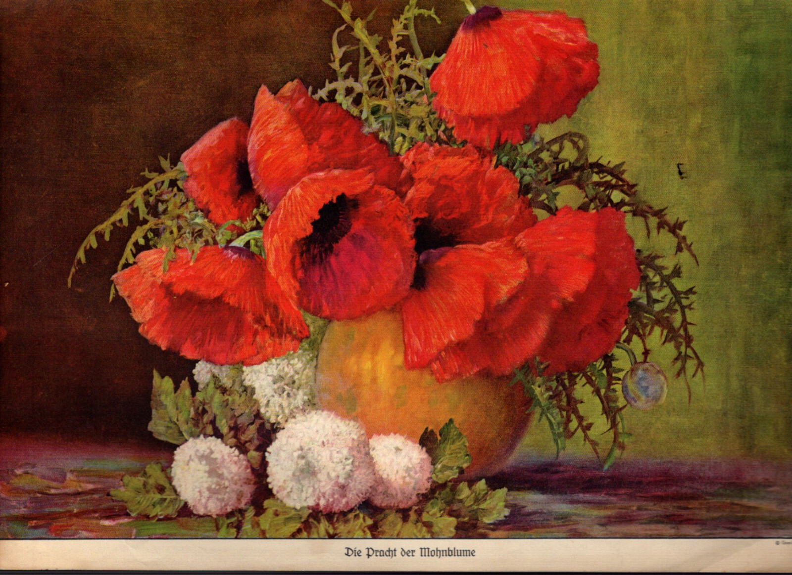 SALE: Antique PICTURE BOOKS + COLOR PRINTS