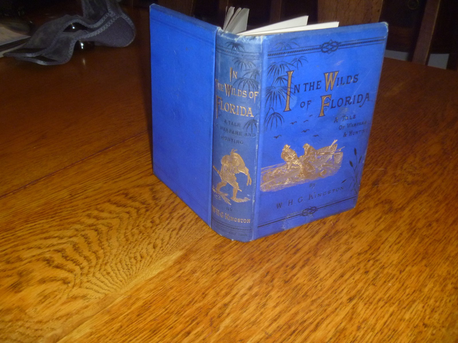 1880 In the Wilds of Florida by W. H. G. Kingston 1st ed, 37 illustrations