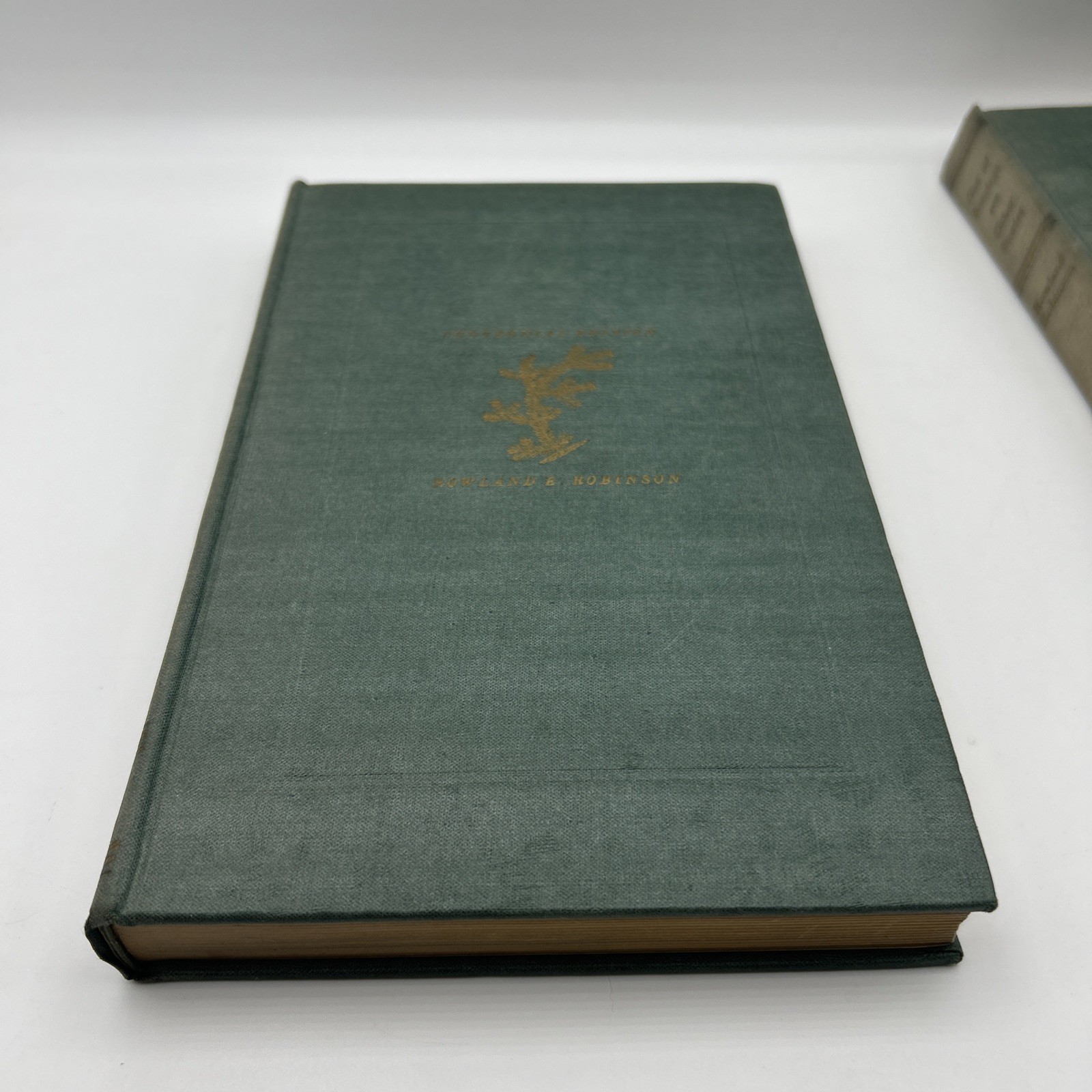 Rowland E. Robinson Centennial Edition Lot of 7 Books (1933-1937) Vermont/Decor