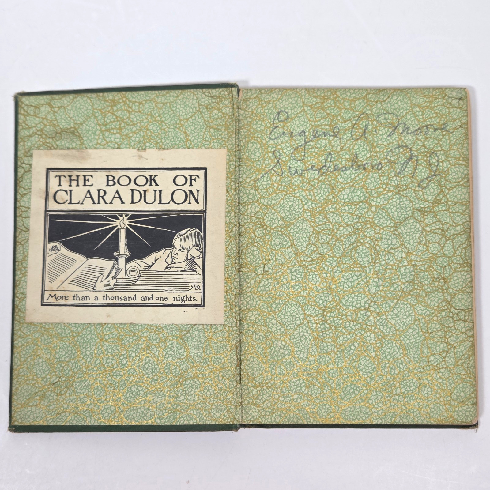 Education of Children Rudolf Steiner 1911 HC 1st American Ed Rajput Press Occult