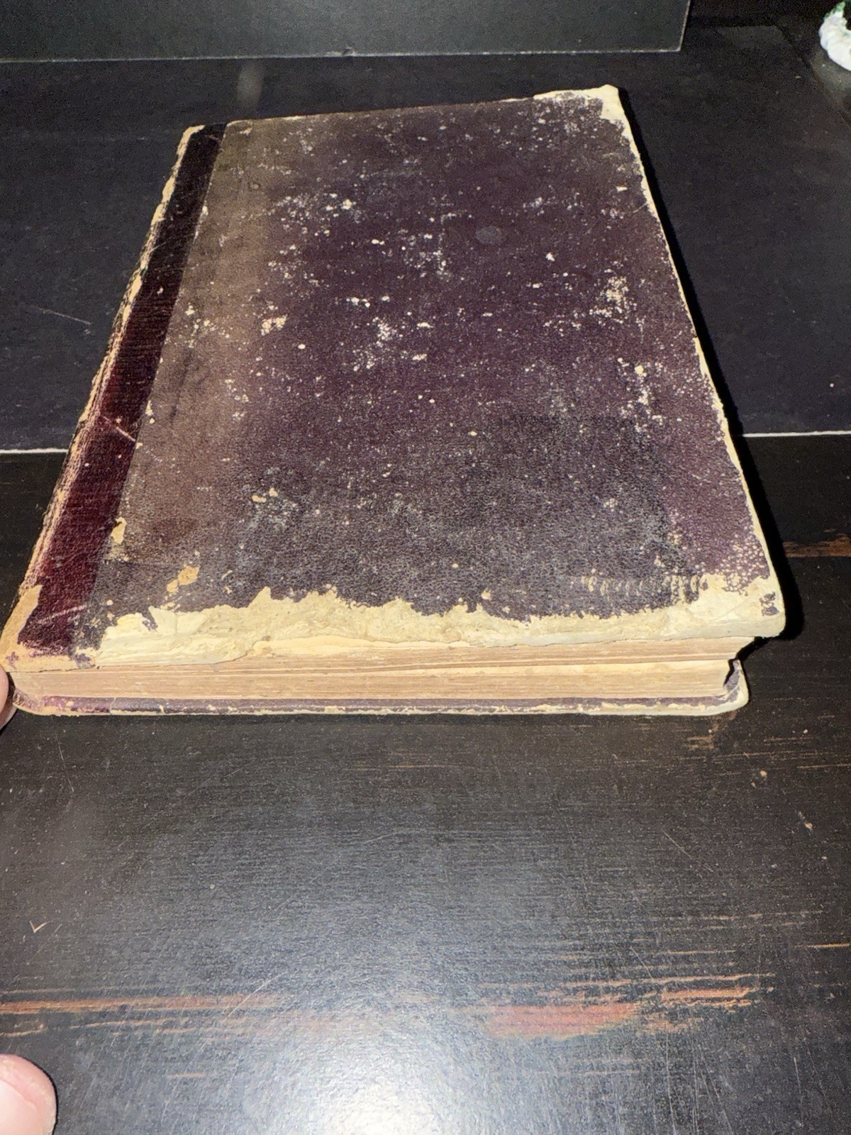 Antique Pre Civil War 1850 Mexico Mexican Law Book Criminal Justice Crime Scarce