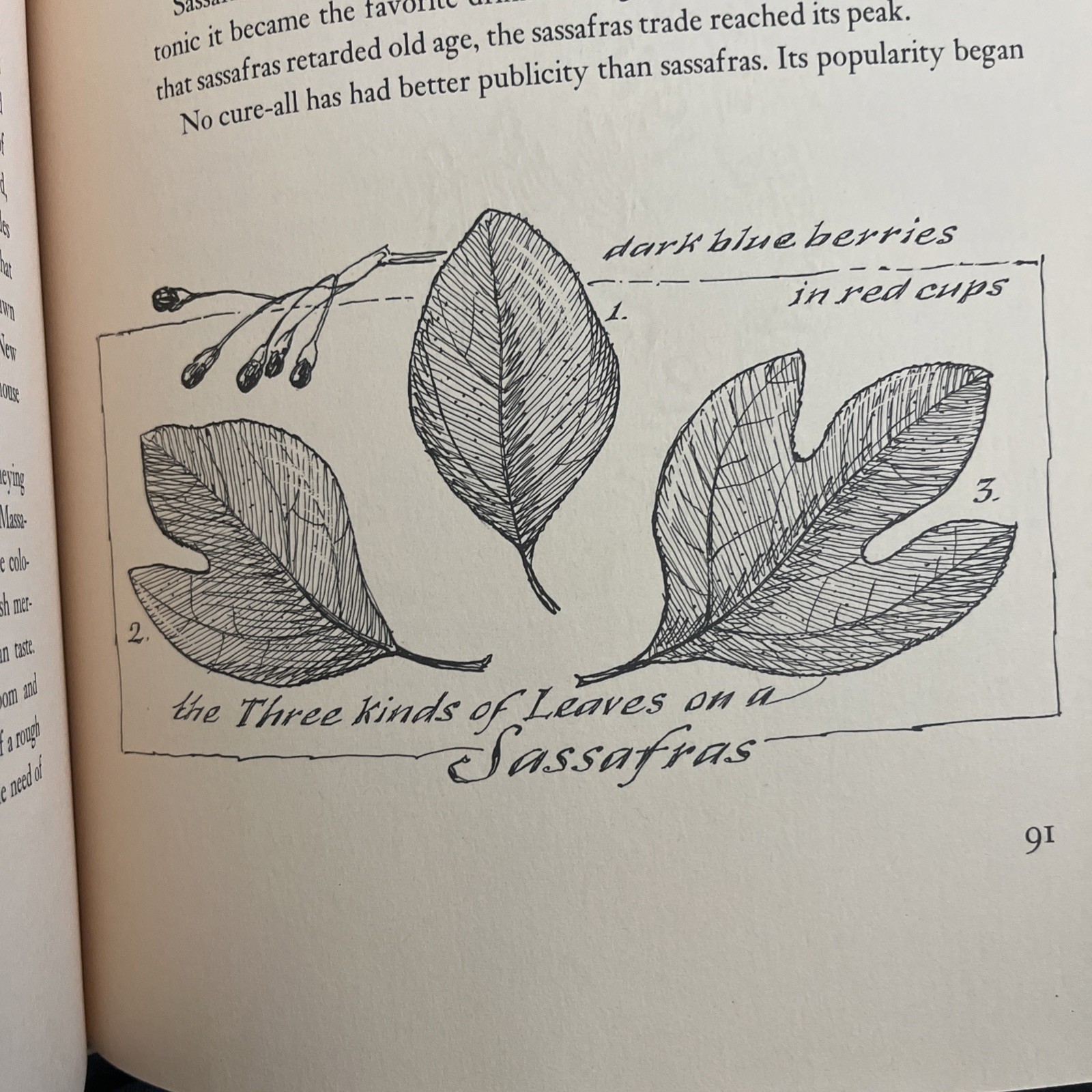 Signed Reverence for Wood Eric Sloane First Ed 1965 HCWDJ Dust Jacket Book Illus