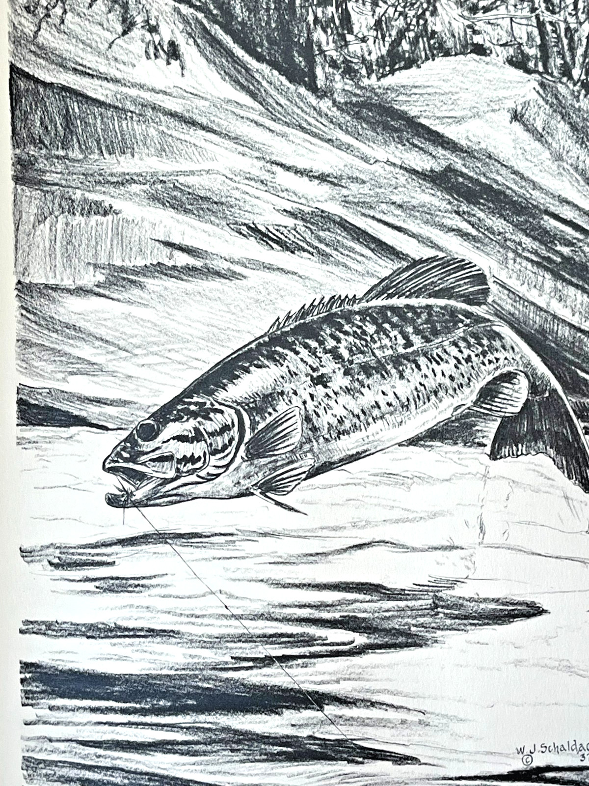 „Fish By Schaldach“ 1937 SCHALDACH, William #43/1560 J.B. LIPPINCOTT