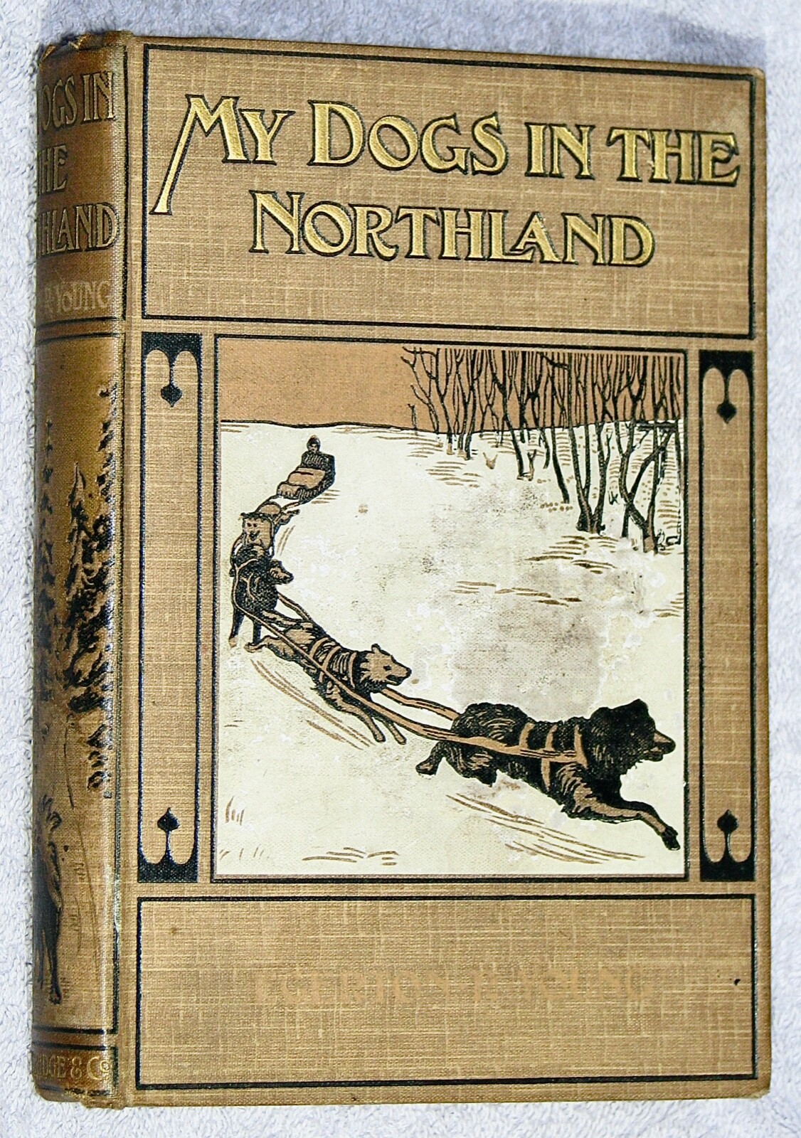 1902~1st~MY DOGS IN THE NORTHLAND~E. Young~CANADA~HUSKY~ST. BERNARD~NEWFOUNDLAND