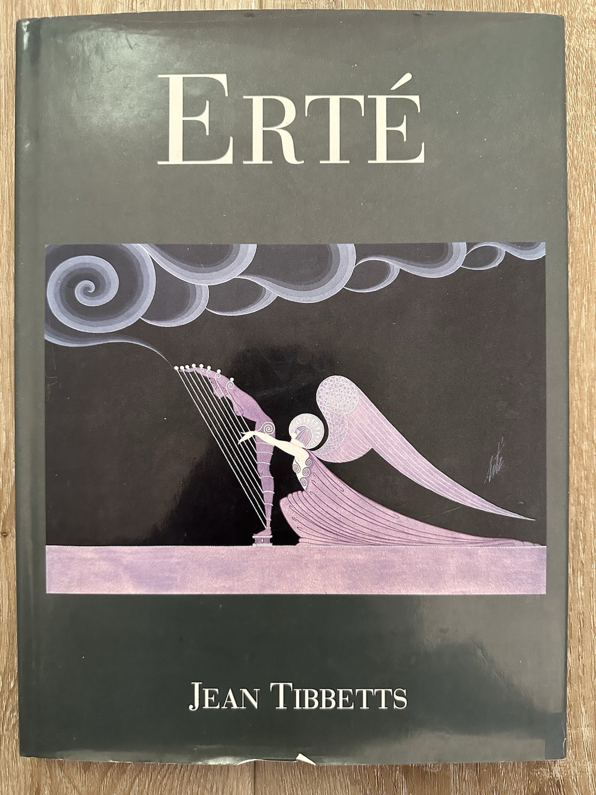 Jean Tibbetts Erte Illustrated Art Costume & Stage Design Book Hardcover 1995 BN