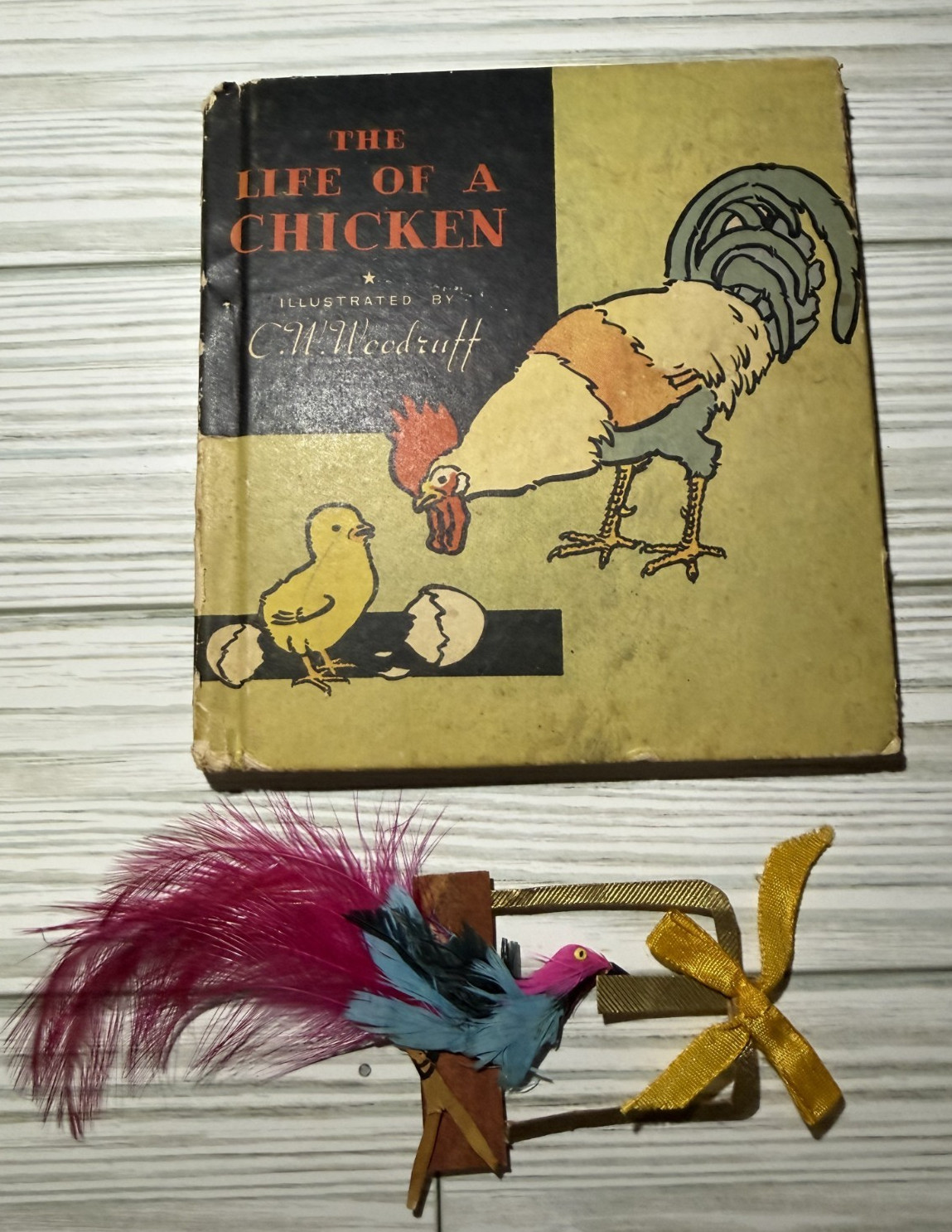 The Life of a Chicken Vintage Hard Cover Book by C.W. Woodruff + Vtg Bookmarker