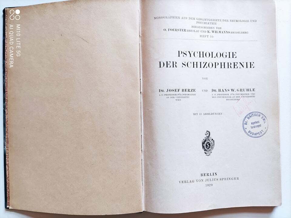 Rare, Rare Basic Work, Psychology of Schyzophrenia (Berze-Gruhle) (1929)