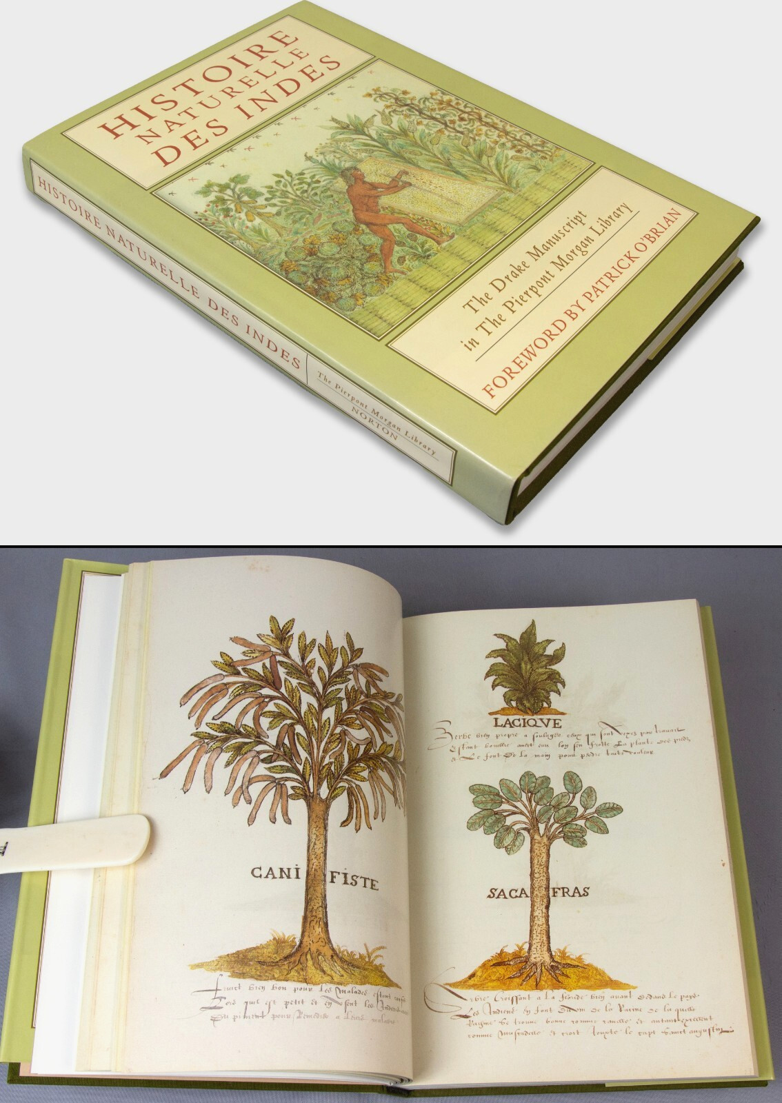 Famous DRAKE manuscript – superb facsimile – Histoire Naturelle des Indes – 1996