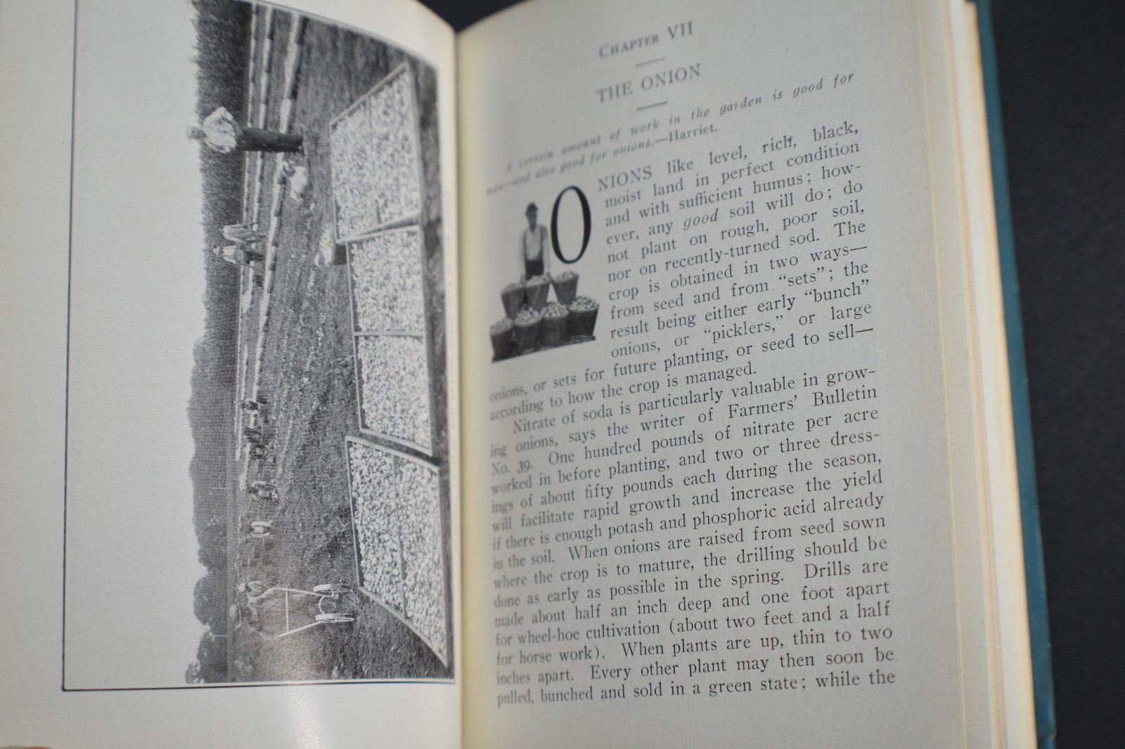 1908 *FIRST* Biggle Garden Book: Vegetables, Small Fruits & Flowers