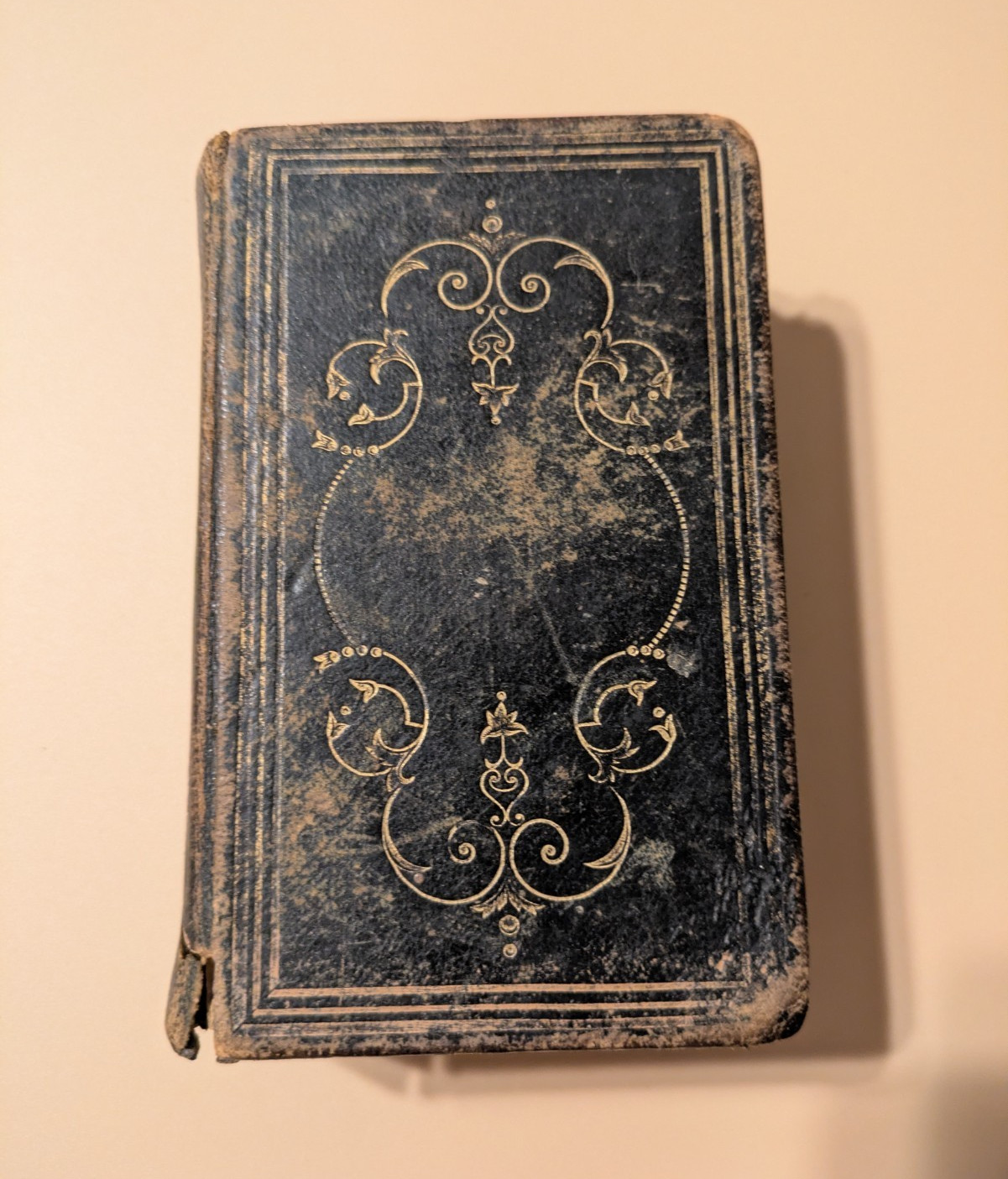 Hymns for Public Worship Hymnal, Original Leather Bound, English